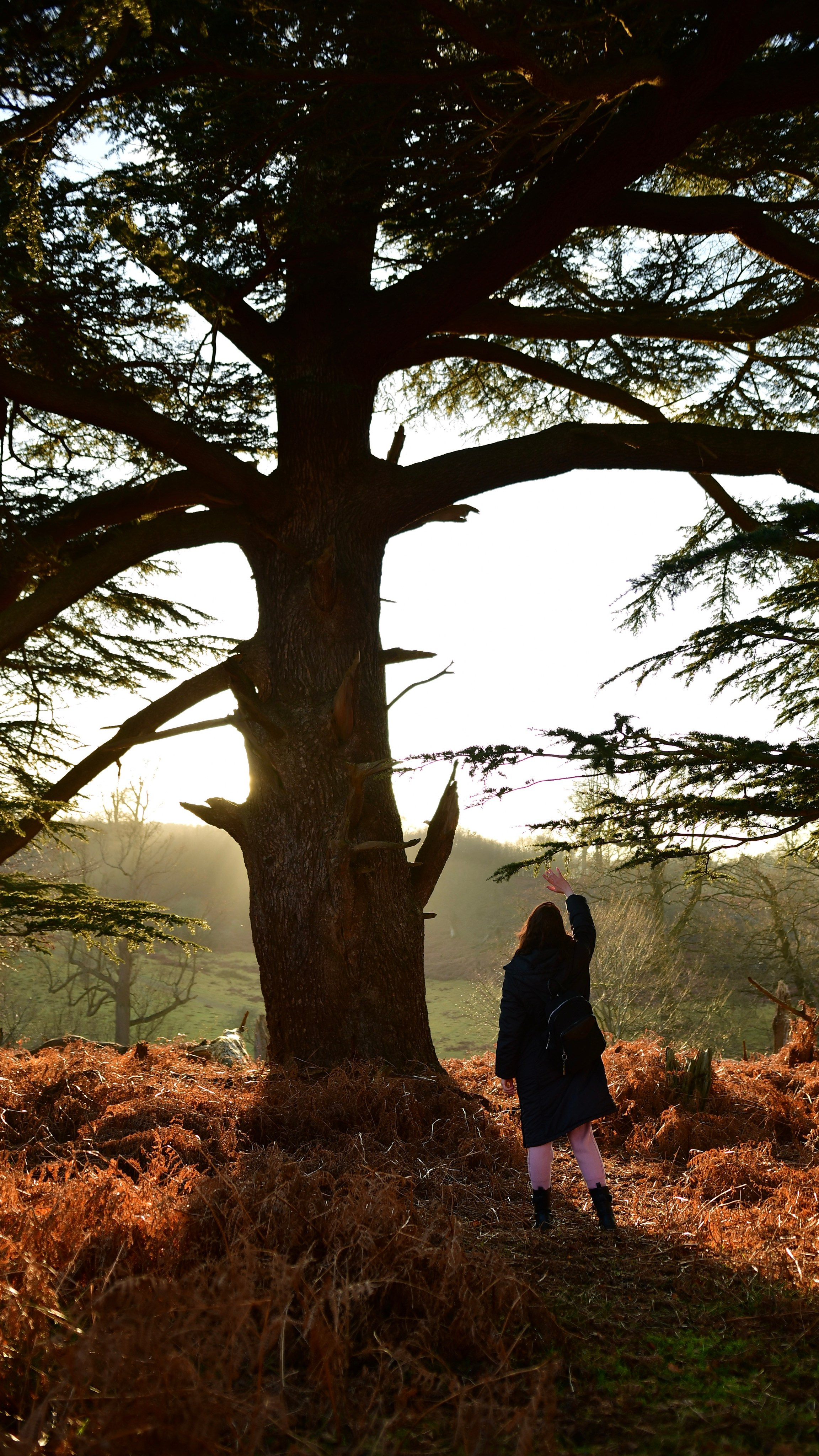 Пейзаж. Кинокадры для тебя. фотограф и стилист по прическам Анастасия Помелова