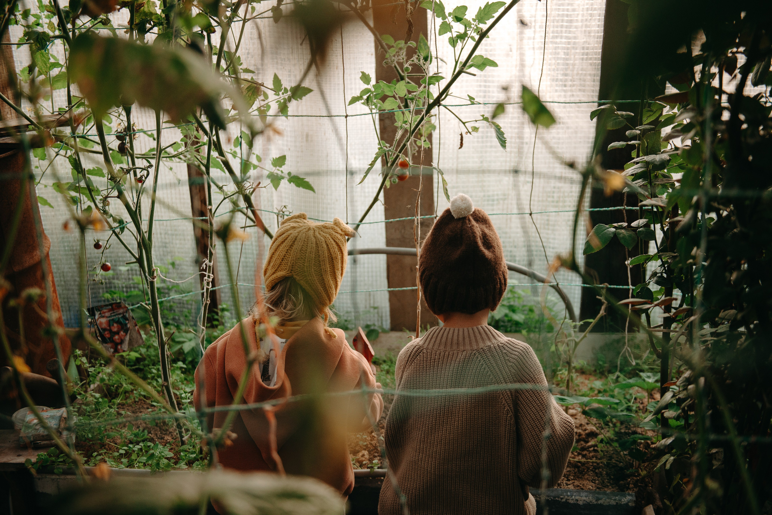 Вика, Рома и Алина. Ирина Метелица фотограф на Шикотане