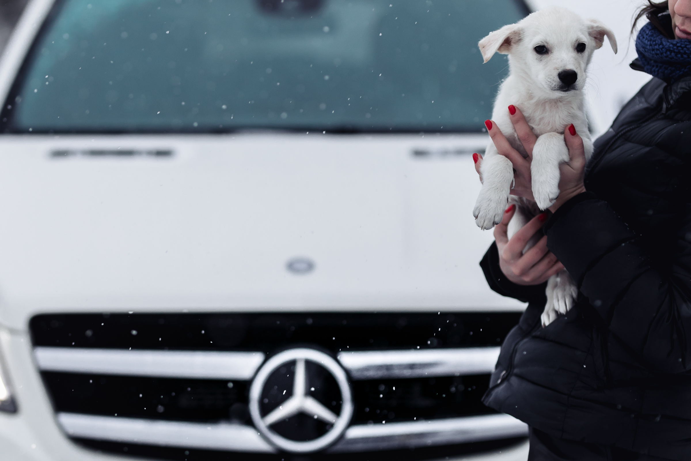 GL. Репортажный фотограф Александр Задорин, Минск, Беларусь