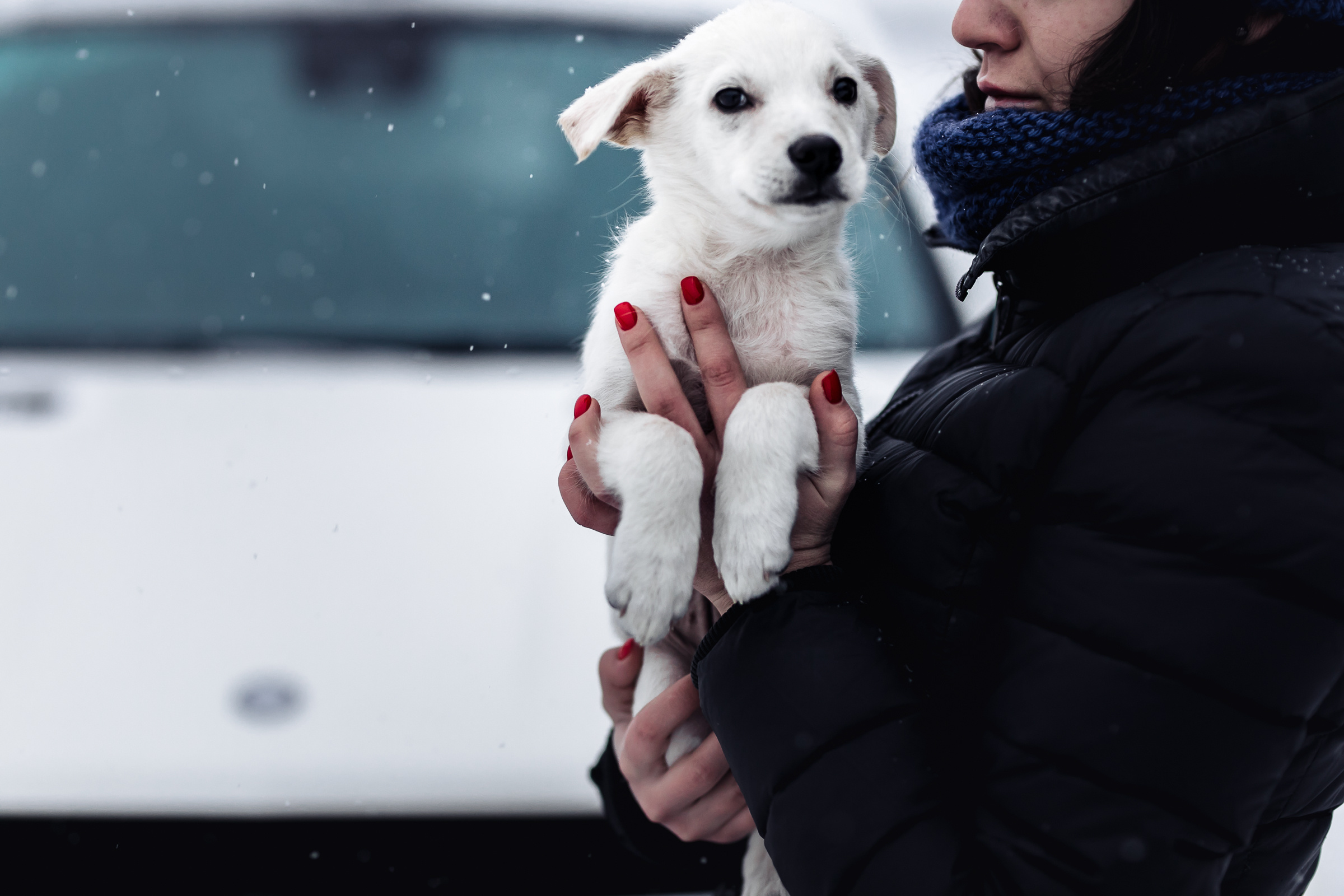 GL. Репортажный фотограф Александр Задорин, Минск, Беларусь