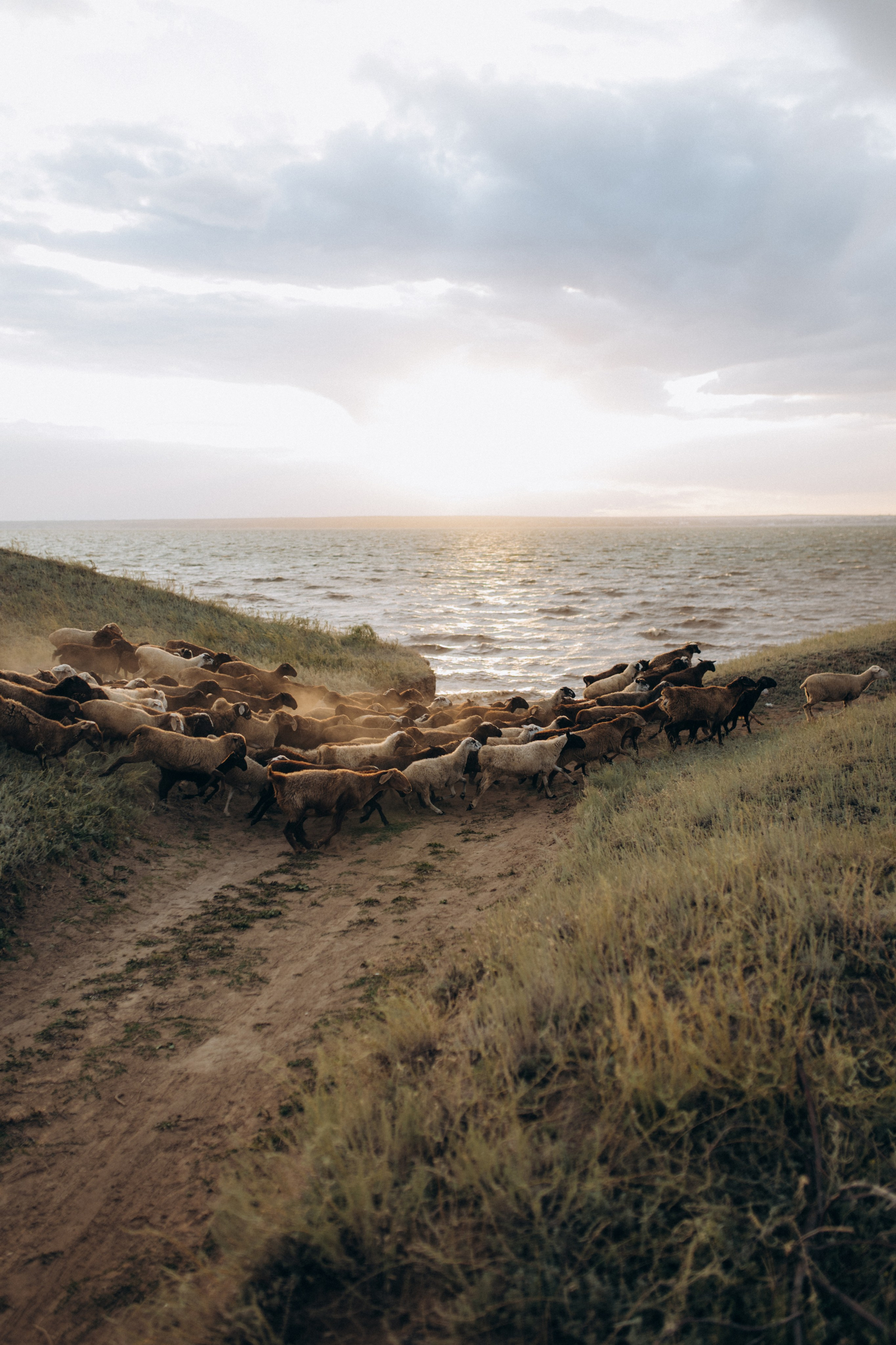 Наташа, Степа, Василиса, Лера. Www.ostermiller.ru