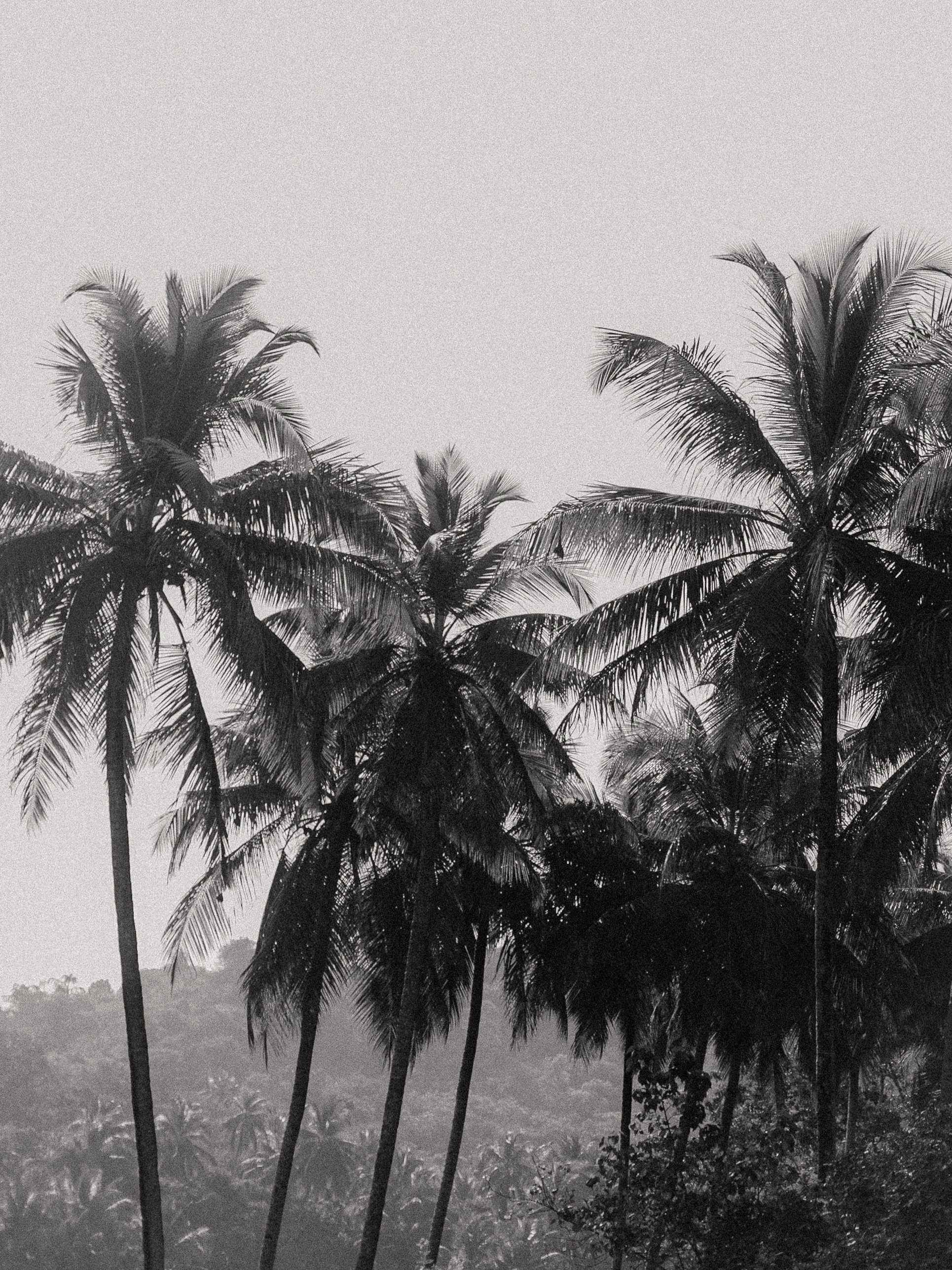 Оля и Таня. Портретный и fashion фотограф в Москве — Елена Якушина