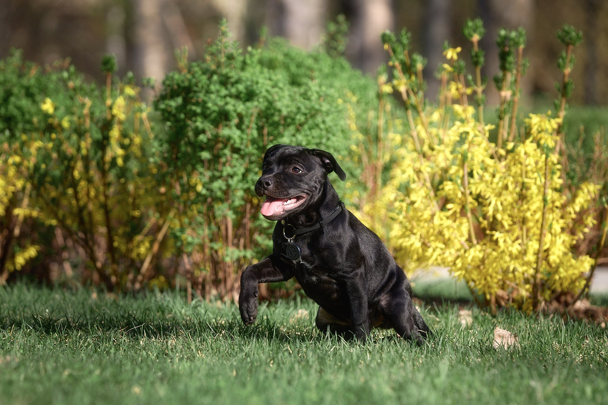 Лени. Главная