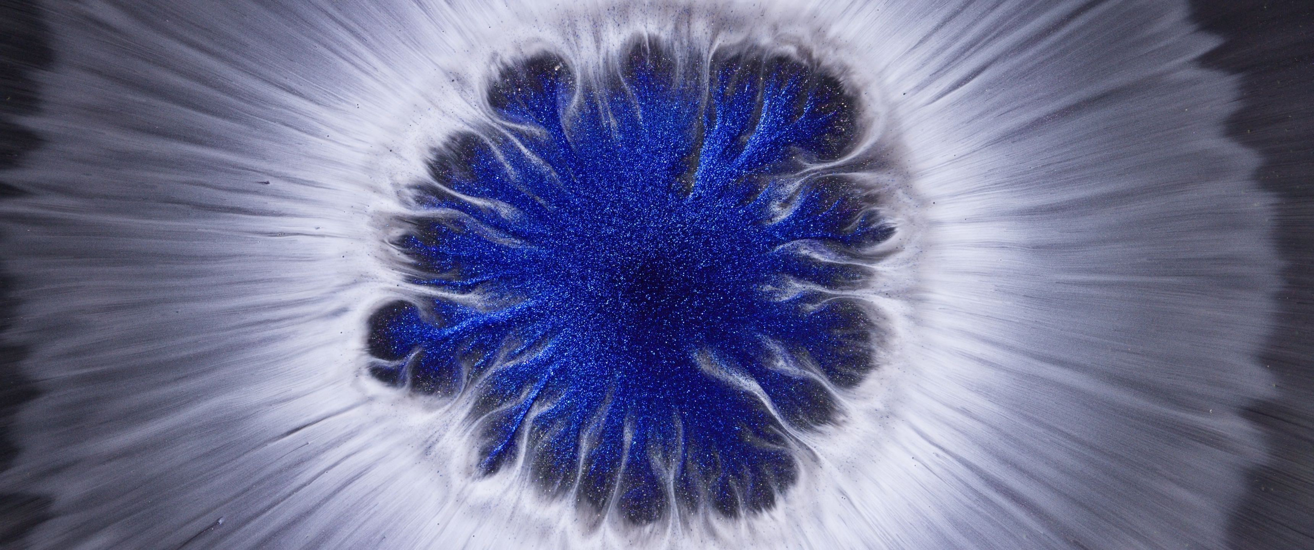 Genesis. Short films by Vadim Sherbakov