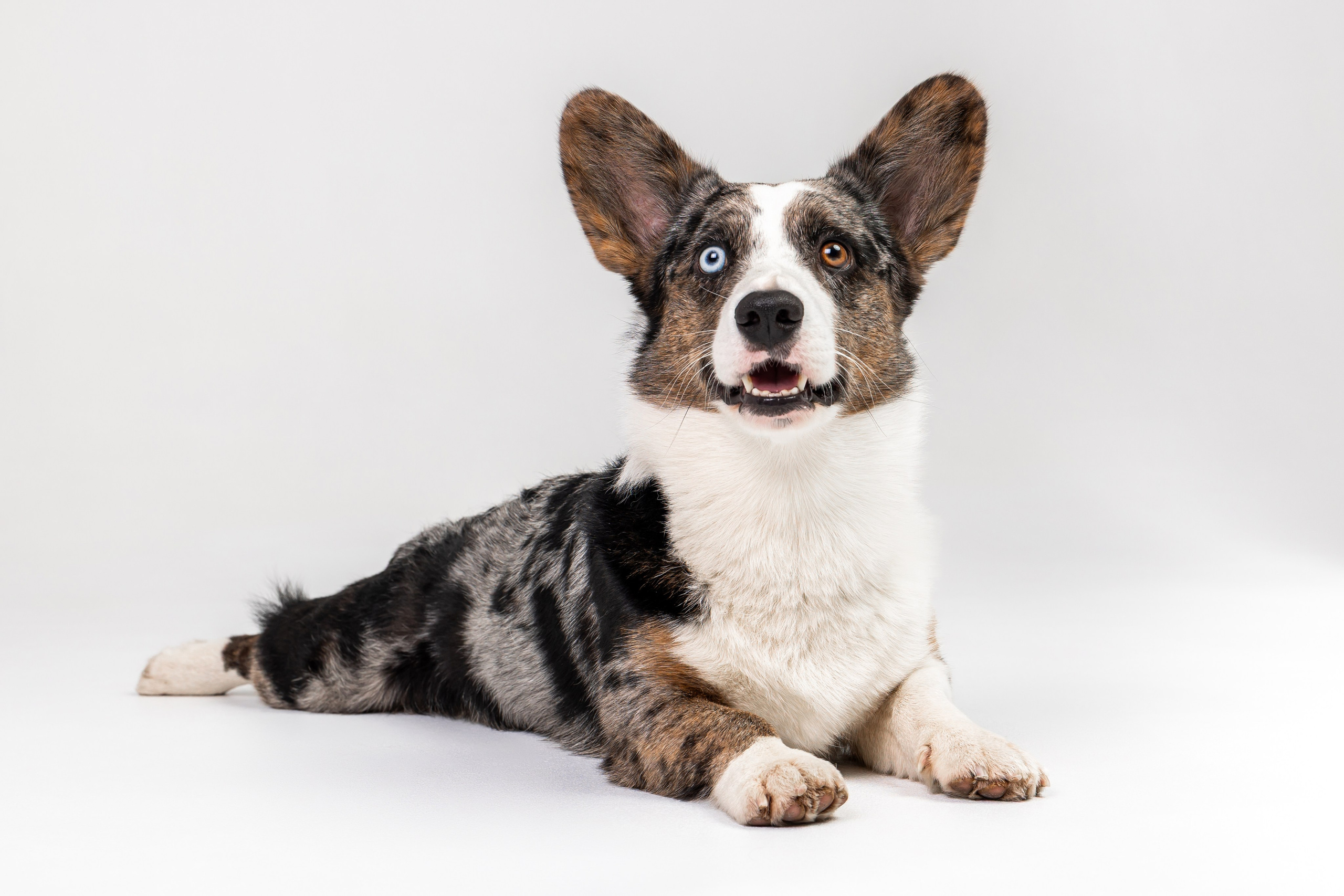 Анатолий и Рагнар