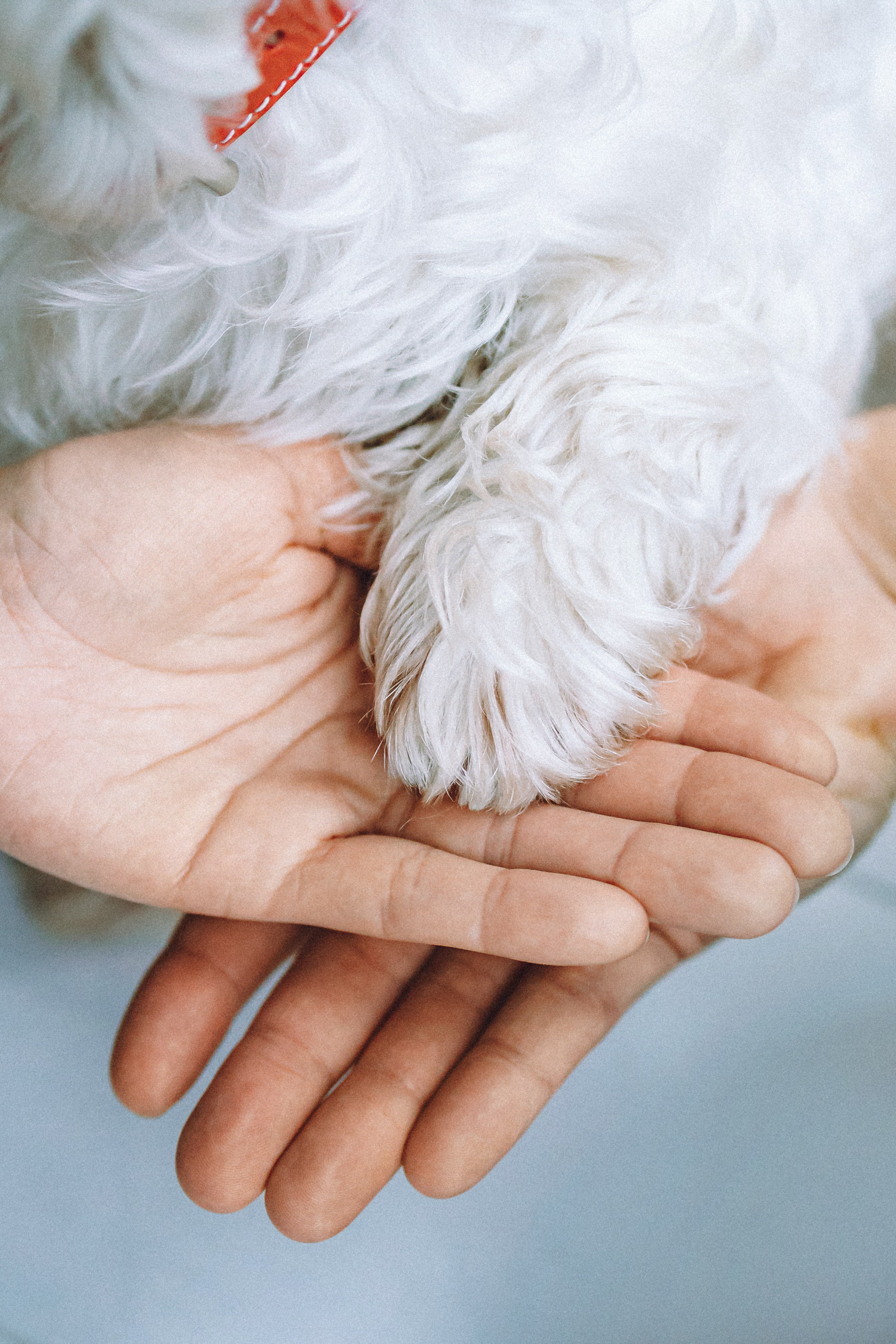 Вика, Глеб и Тори