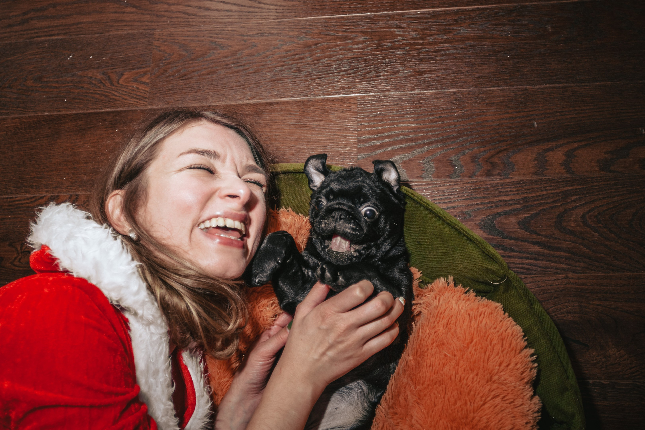 Домашняя фотосессия Оли и двух ее мопсов. Фотограф-анималист Татьяна Степанова