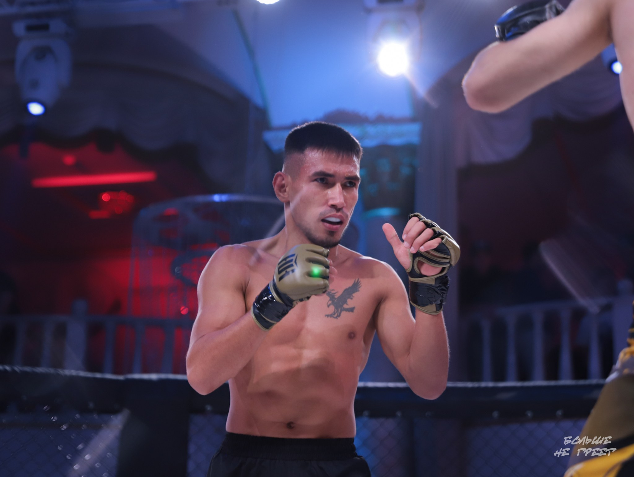 SABR FIGHTING. Больше не греет