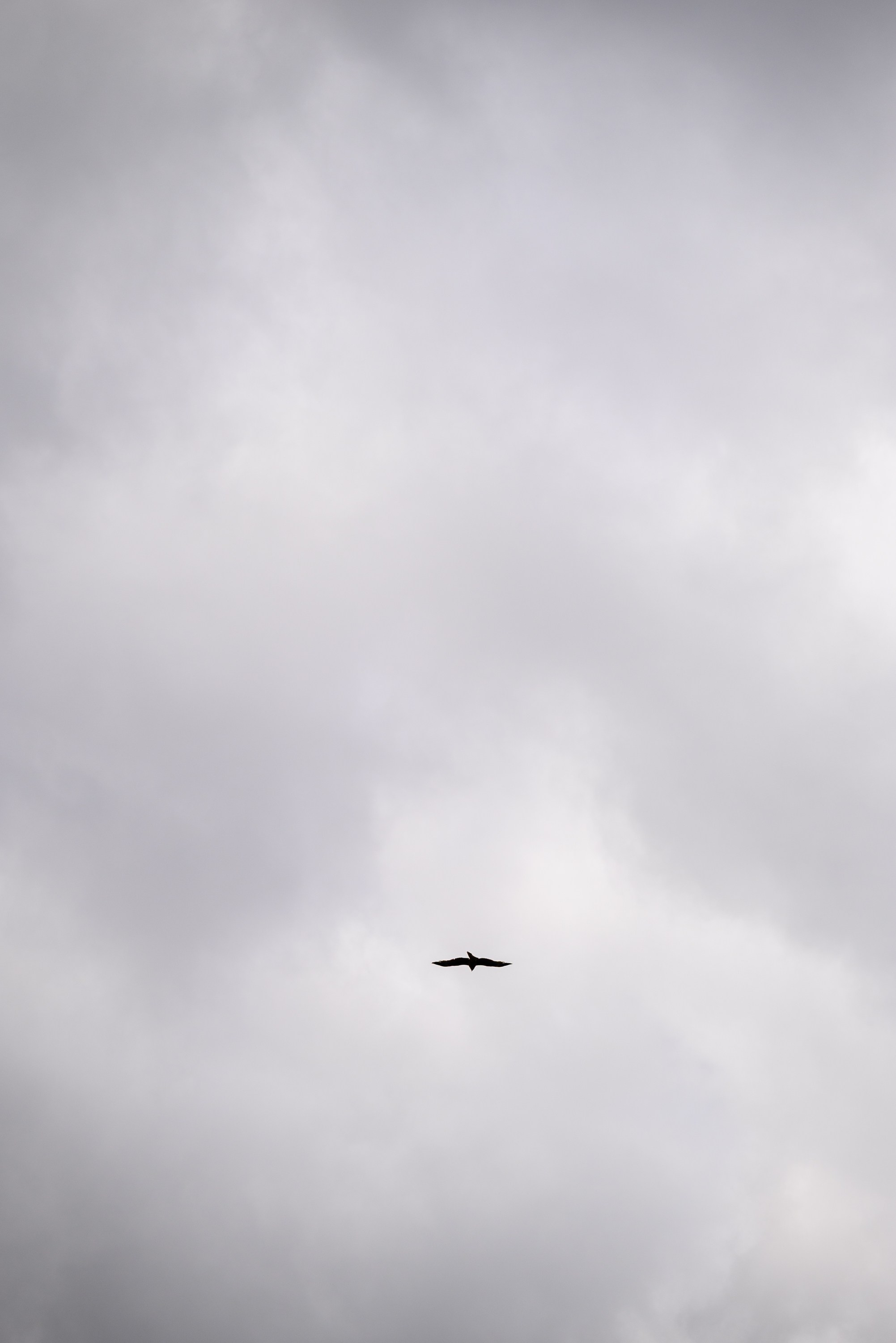 Это любовь. Свадебный фотограф Ижевск Петр Шишков