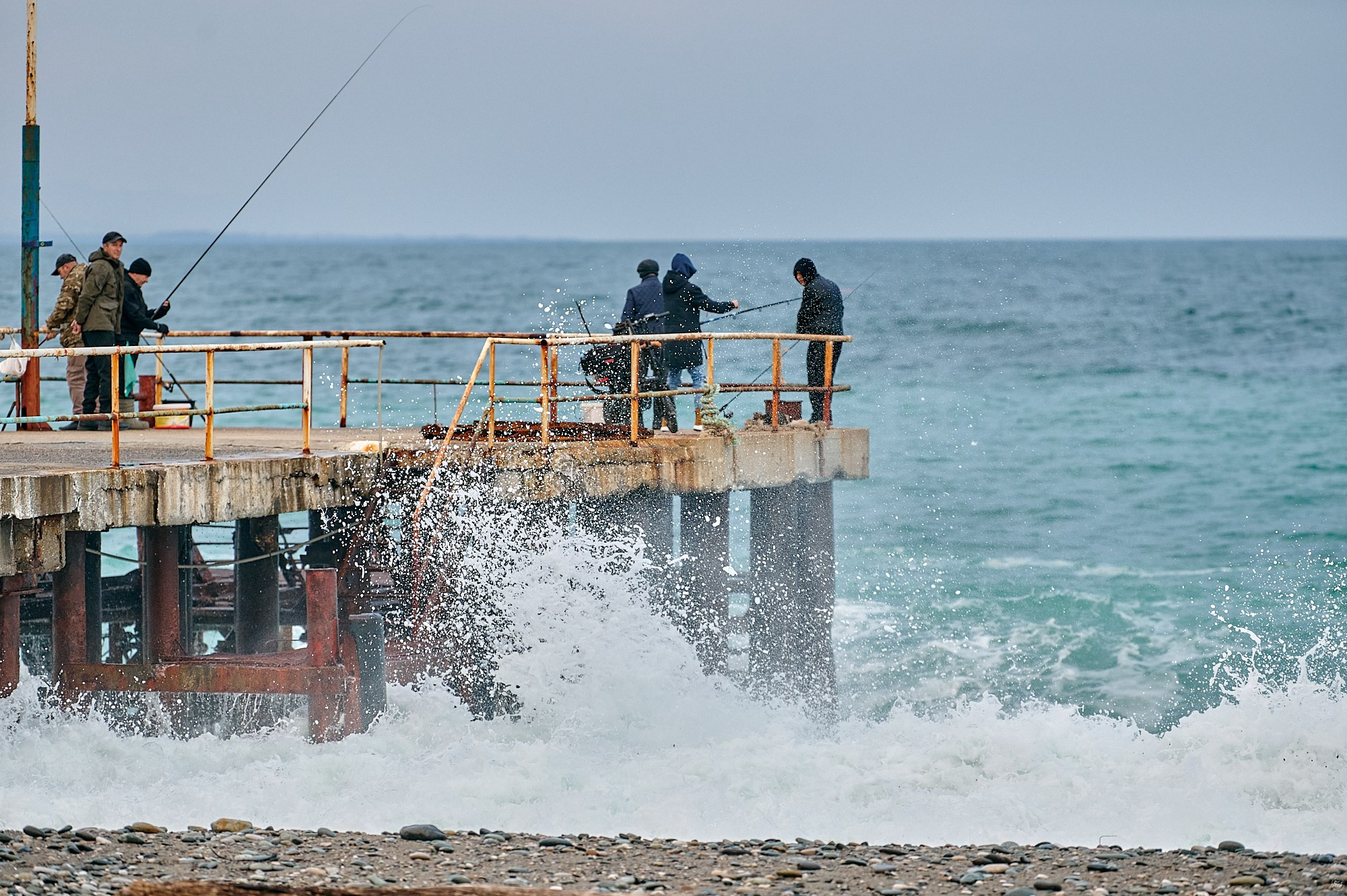 Пицунда, Абхазия. Декабрь 2024. Фотографии отовсюду и обо всем