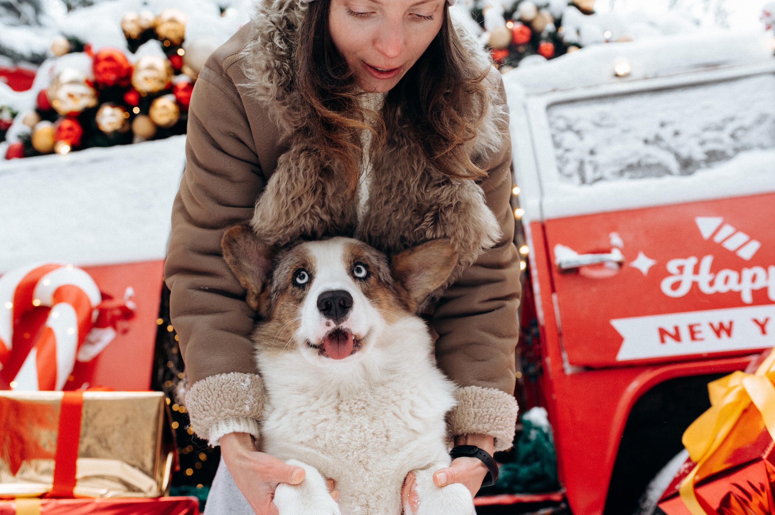 Маша и Дэф. Фотограф анималист в Москве Ольга Агушева