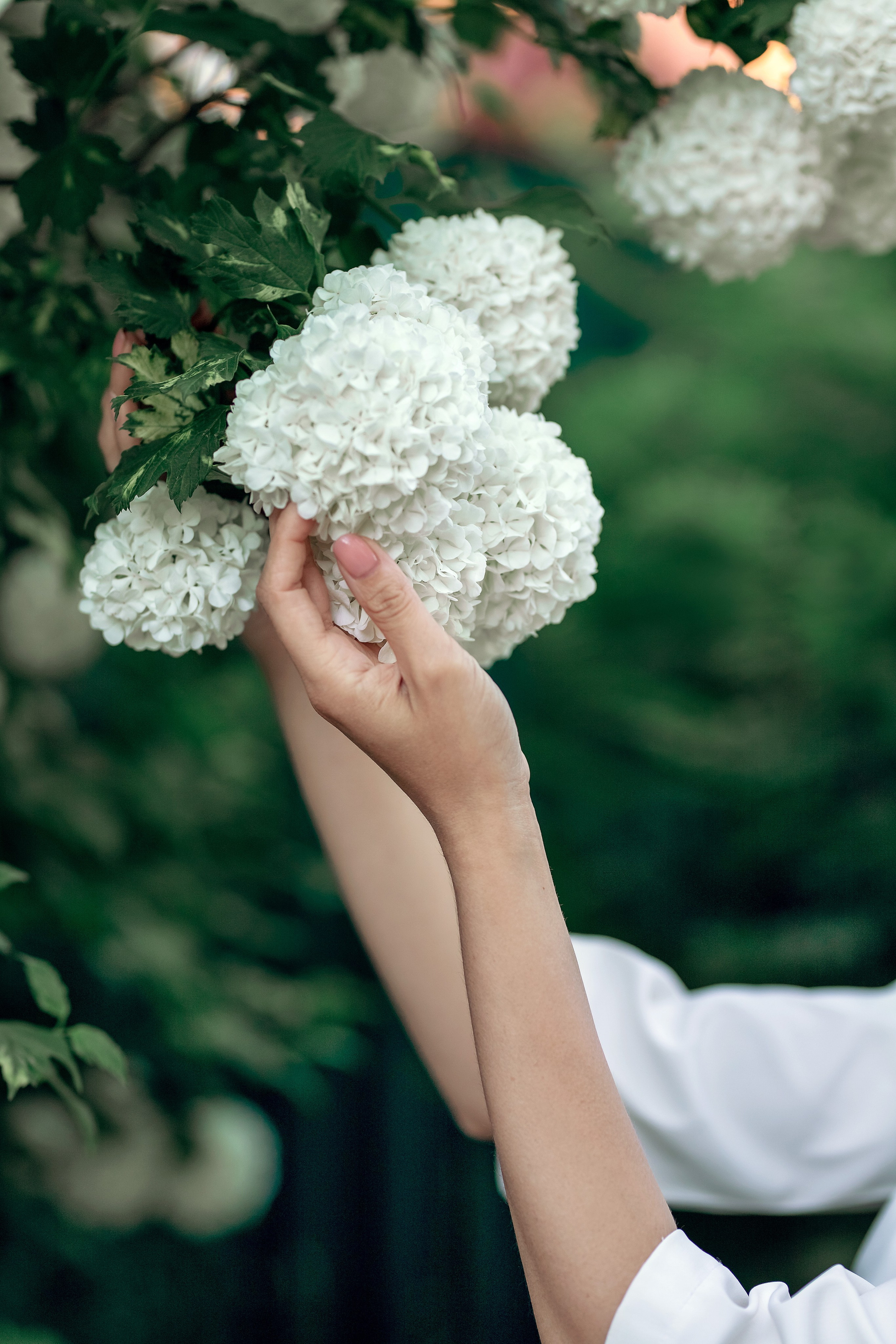 Фотограф в Москве. Женские фотосессии, love-story, контент