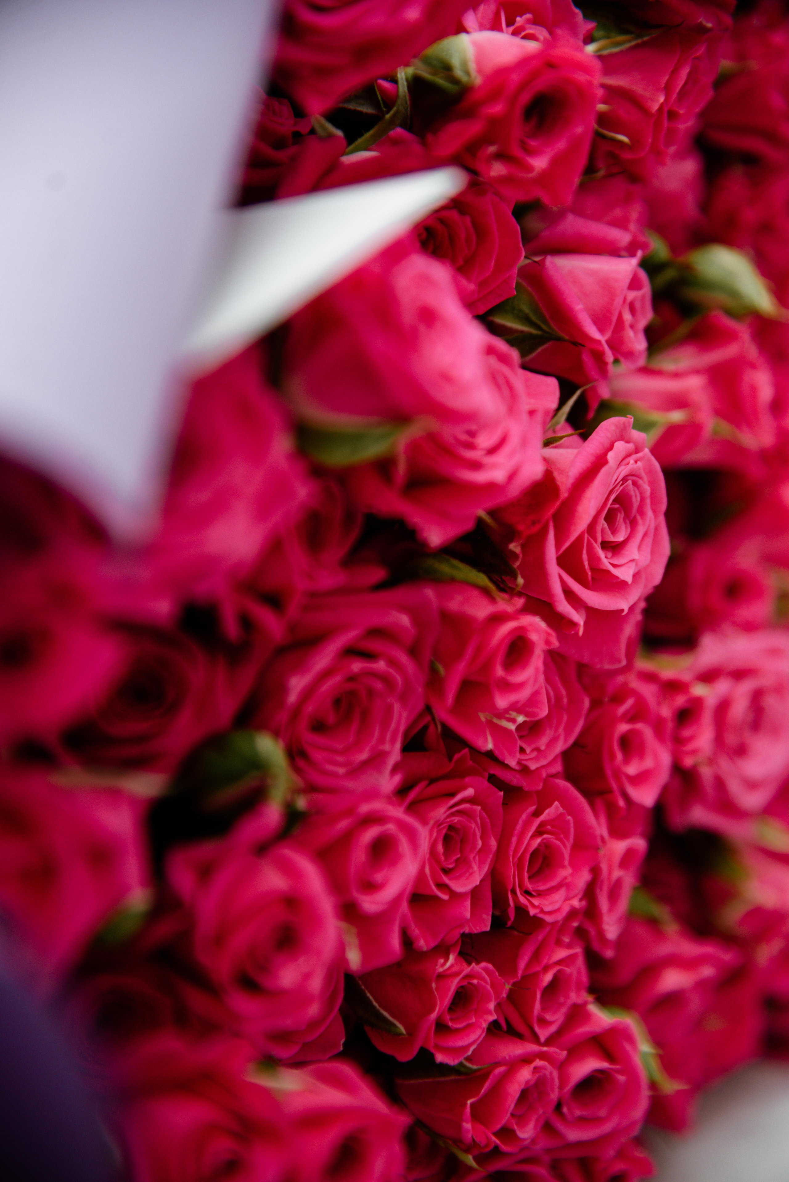 Отзывы. Фотограф Алёна Евграфова