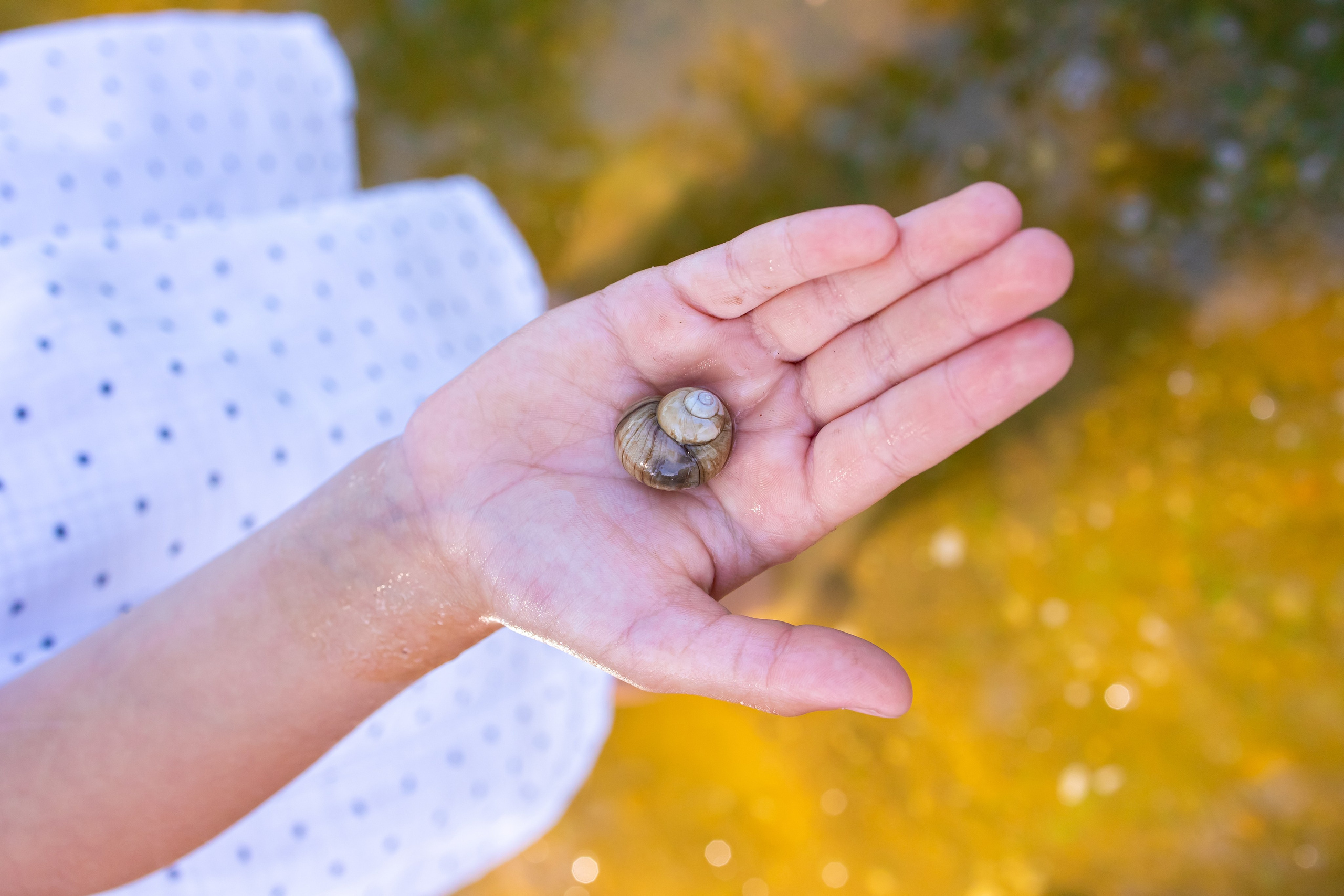 Настя и Катюша прогулка. Оксана Ромашкина- семейный и ньюборн фотограф из Москвы