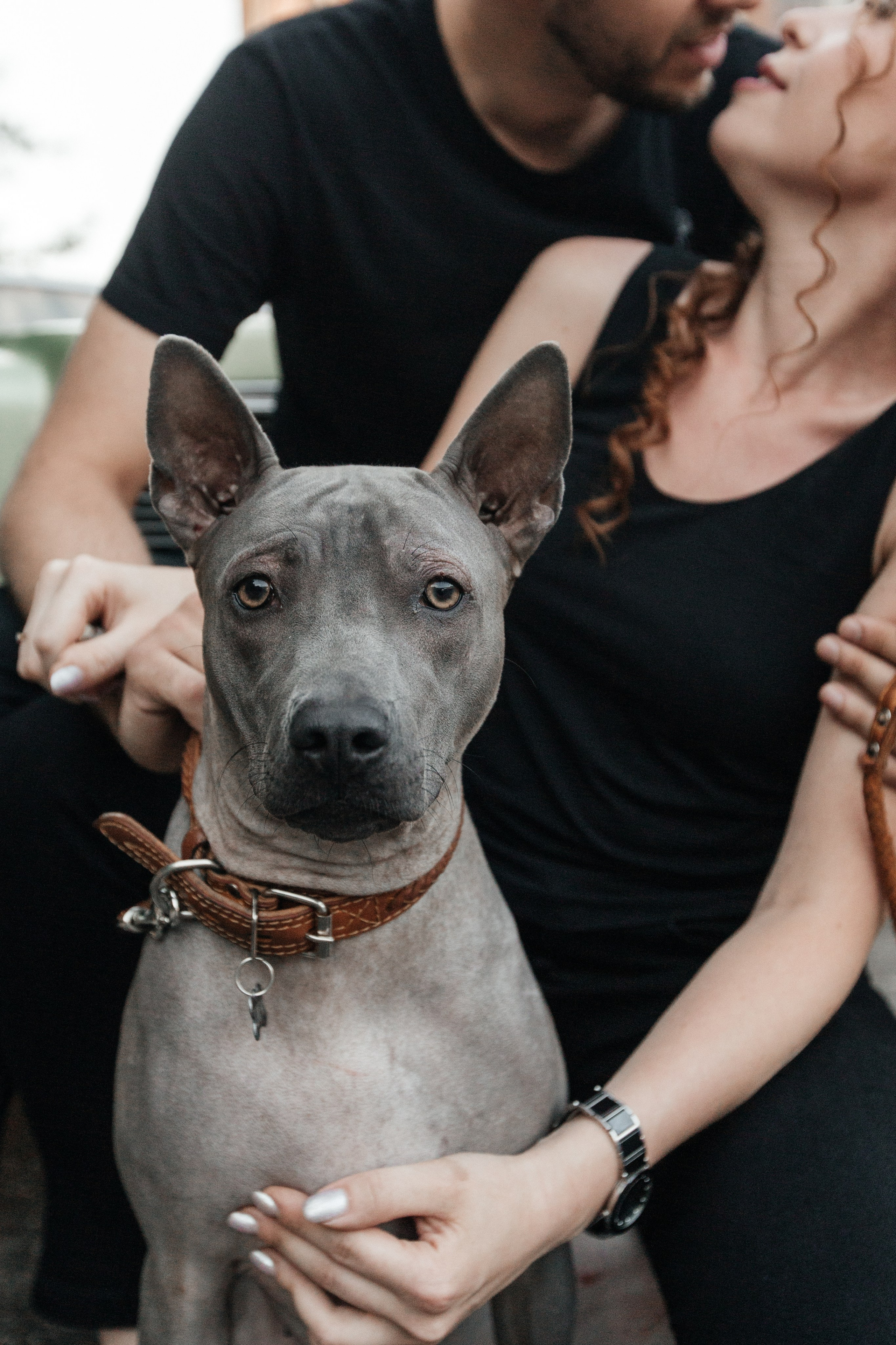 Тимофей и Карина. Свадебный и Репортажный фотограф Нижний Новгород Москва Ежов Иван
