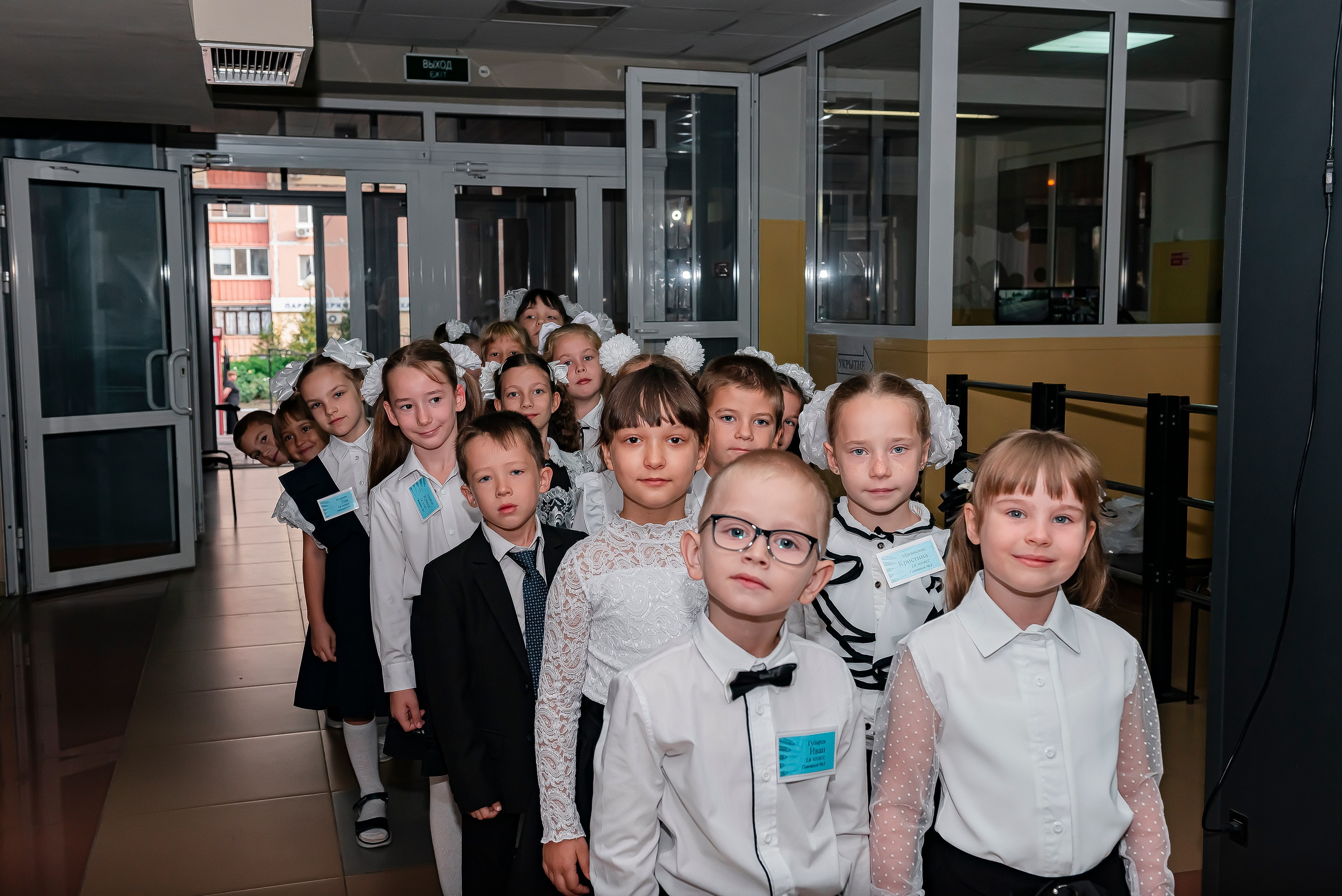 1 «В» | Гимназия № 3| г. Белгород |2024. ALBUMIA