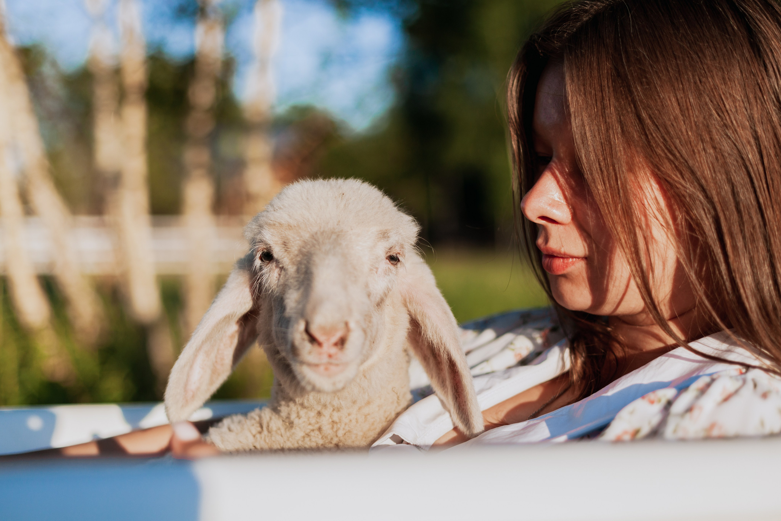 Ванна в поле. Фотограф-анималист Татьяна Степанова