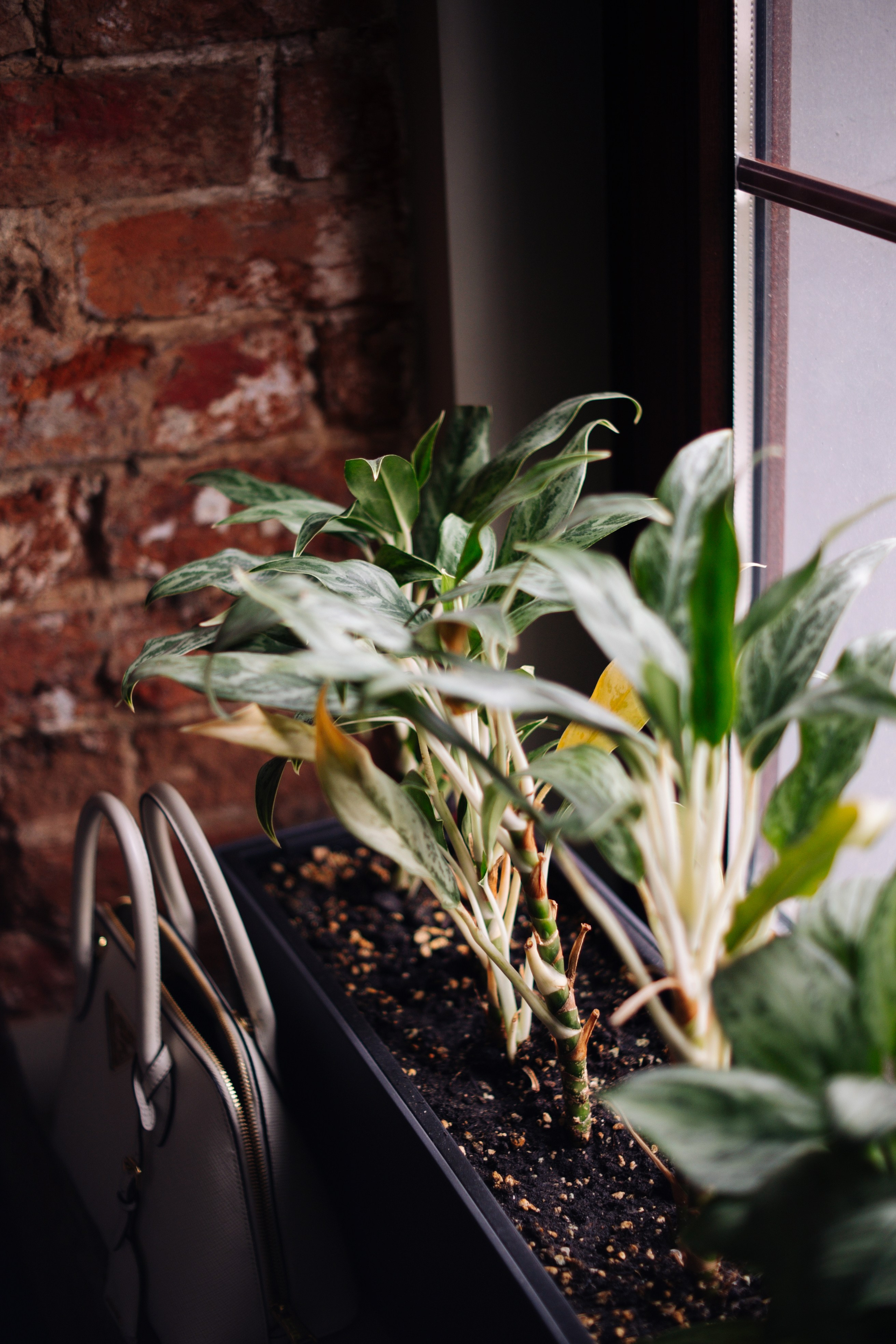 Нетворкинг Бранч WF. Свадебный фотограф в Москве Кристина Чехова