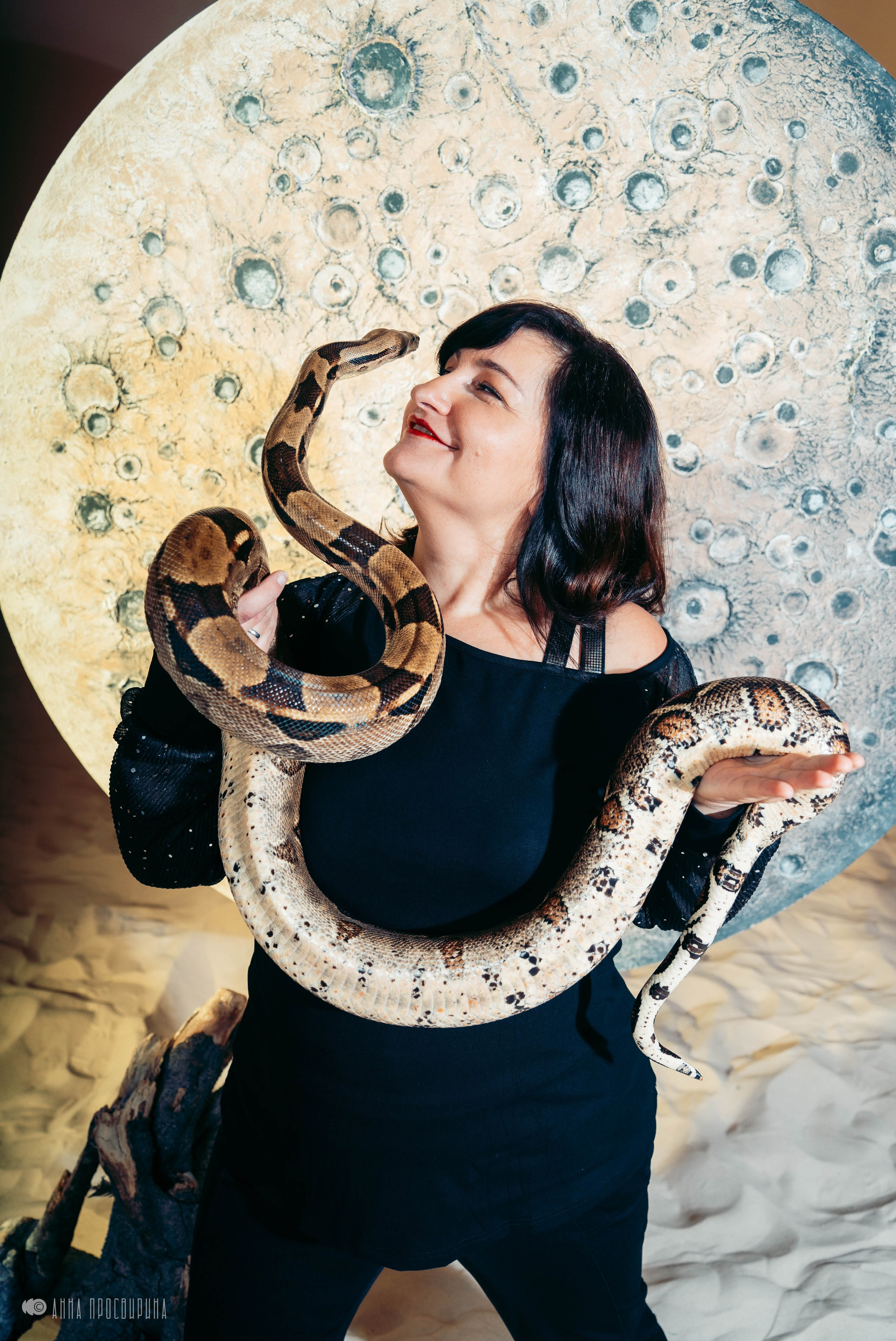 Новогодняя съемка с символом года для проекта Dolce Donna. Ваш фотограф в Санкт-Петербурге Анна Просвирина