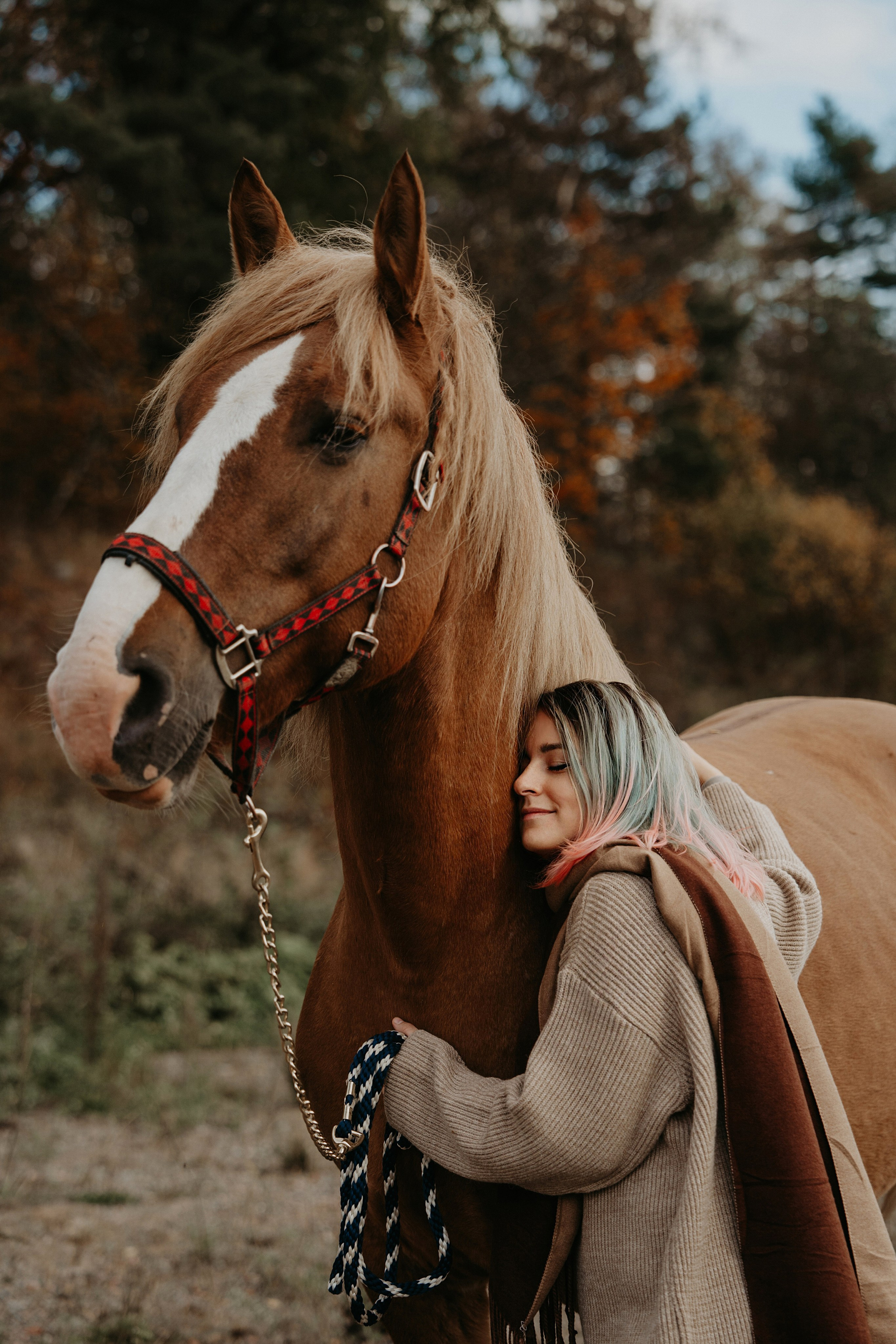 Конные. Главная