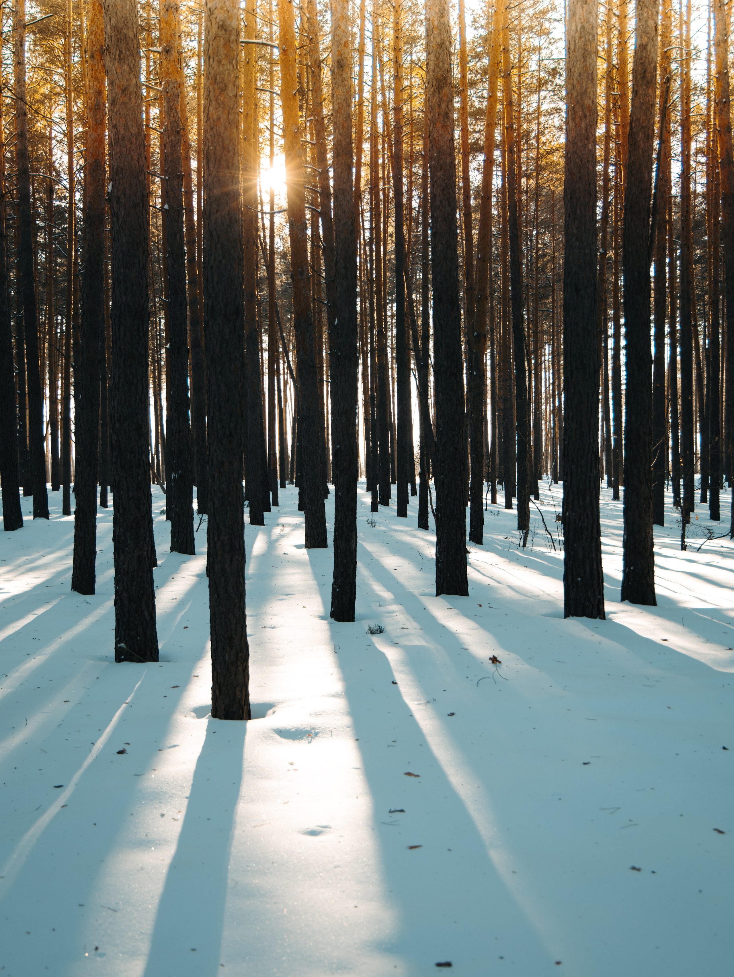 Световой дневник. Поиск неочевидного. ElizabetArt — фотограф в Воронеже Елизавета Хлусова