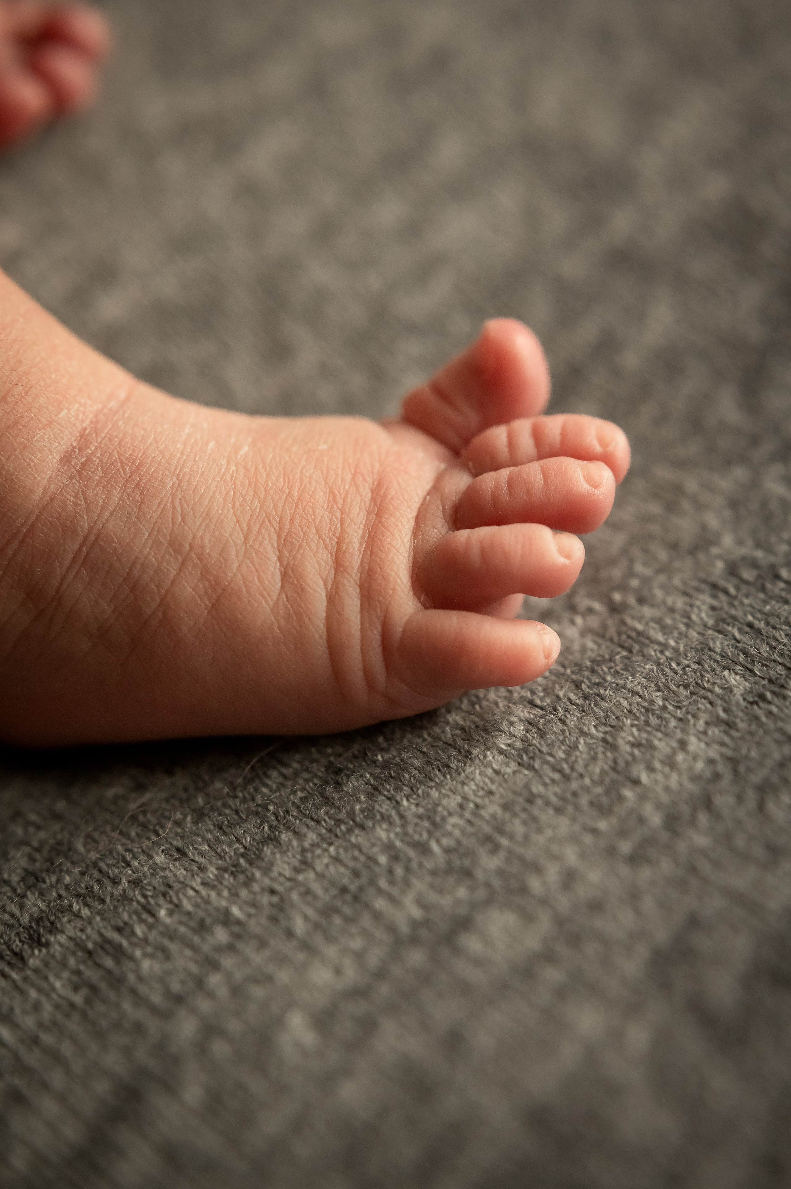 #фотосессия новорожденного. Фотограф новорождённых, семейный, школьный в городе Калуге Евгения