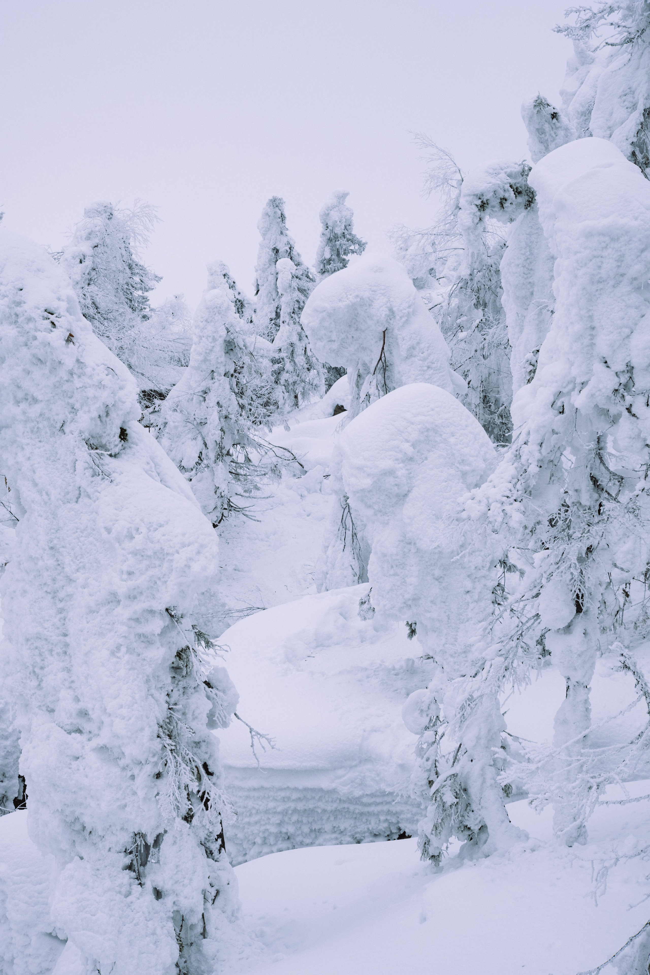 Замечательная повседневность. Контент-фотограф и видеограф в Перми