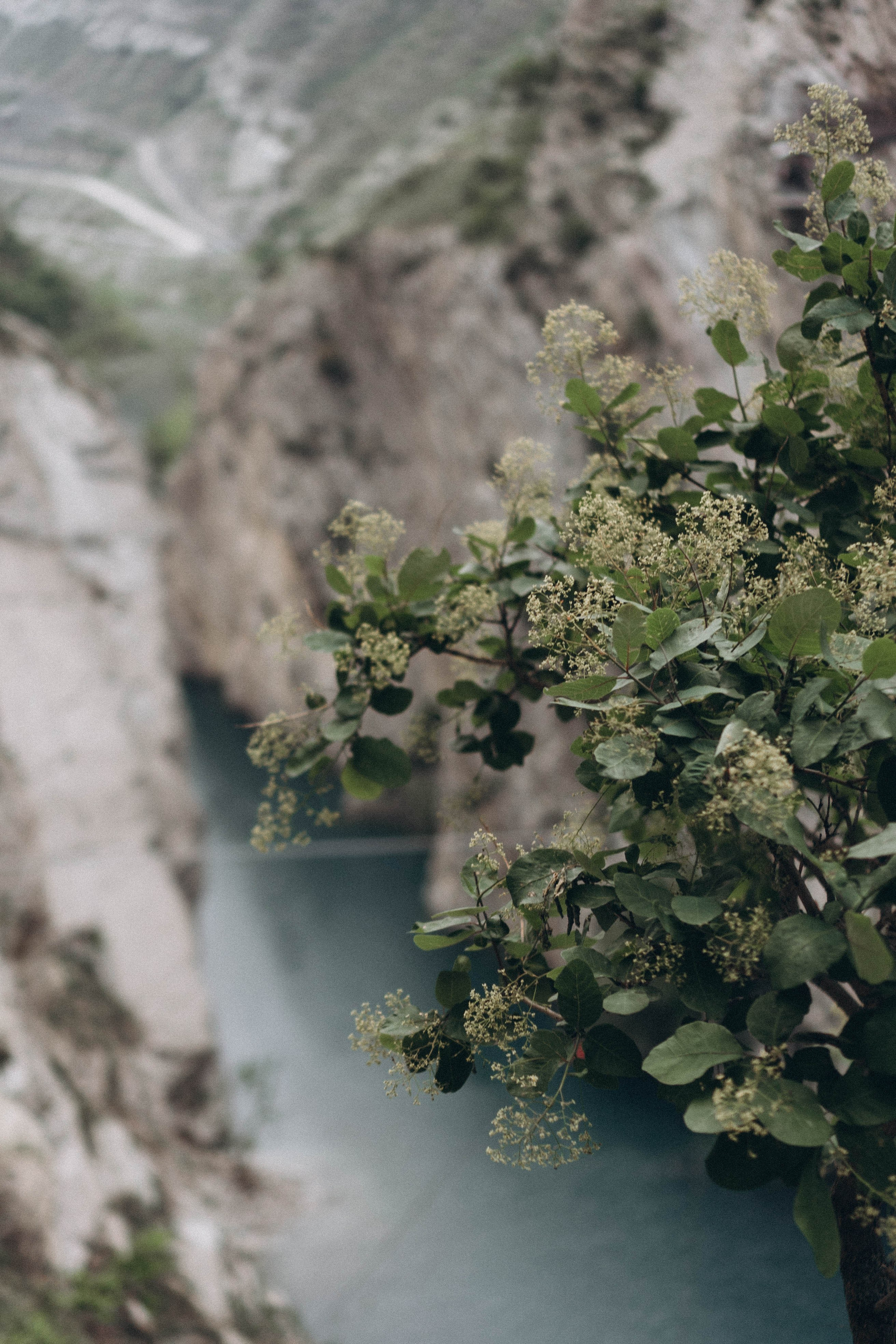 Кавказ. Профессиональный фотограф, Санкт-Петербург — Виктория Богомолова