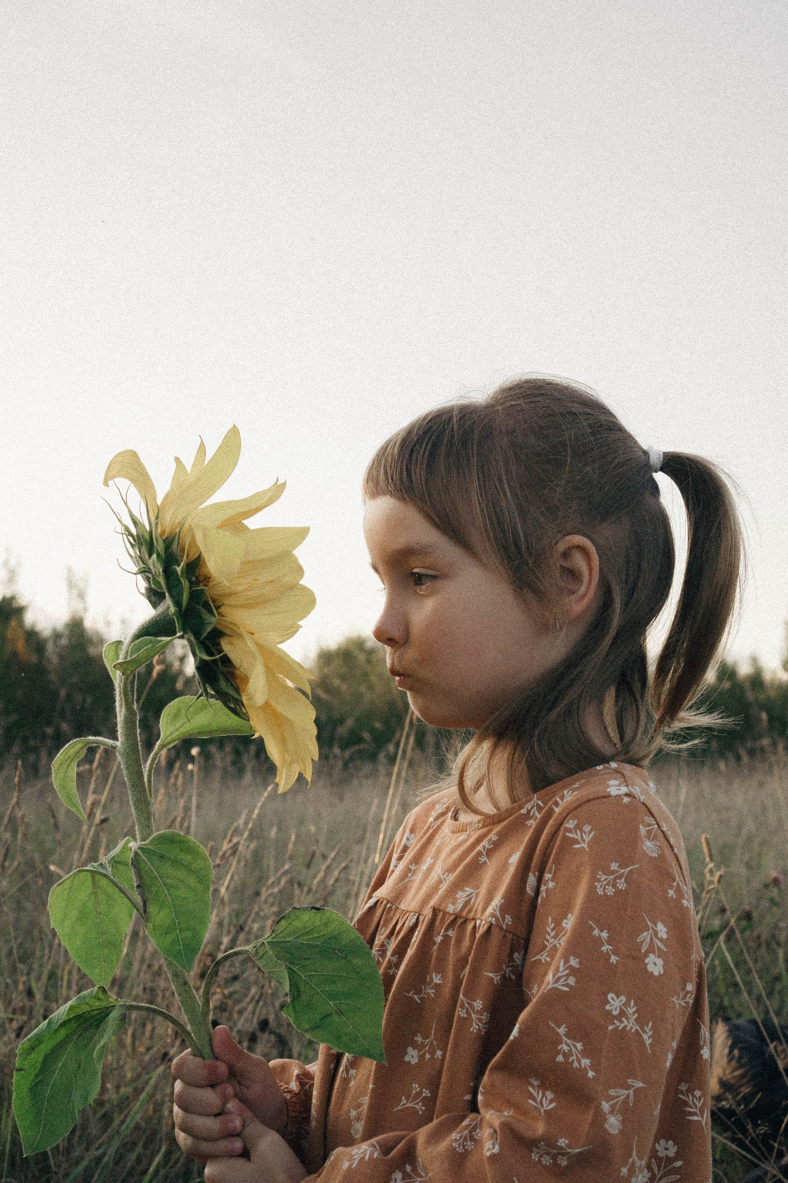 Семейная серия. Профессиональный фотограф, Санкт-Петербург — Виктория Богомолова