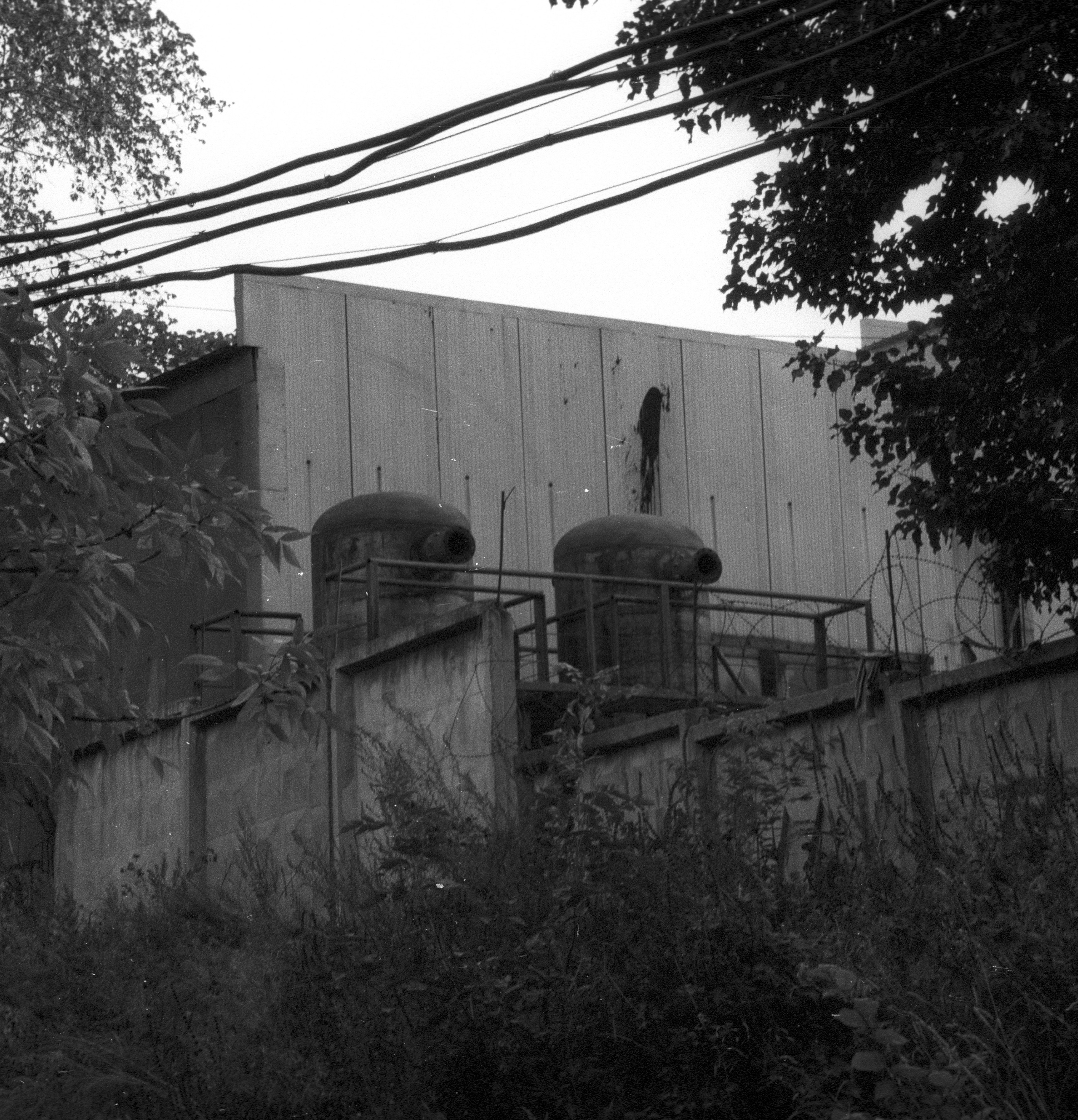 Адская смесь. Фотограф в Санкт-Петербурге Березовский Даниил