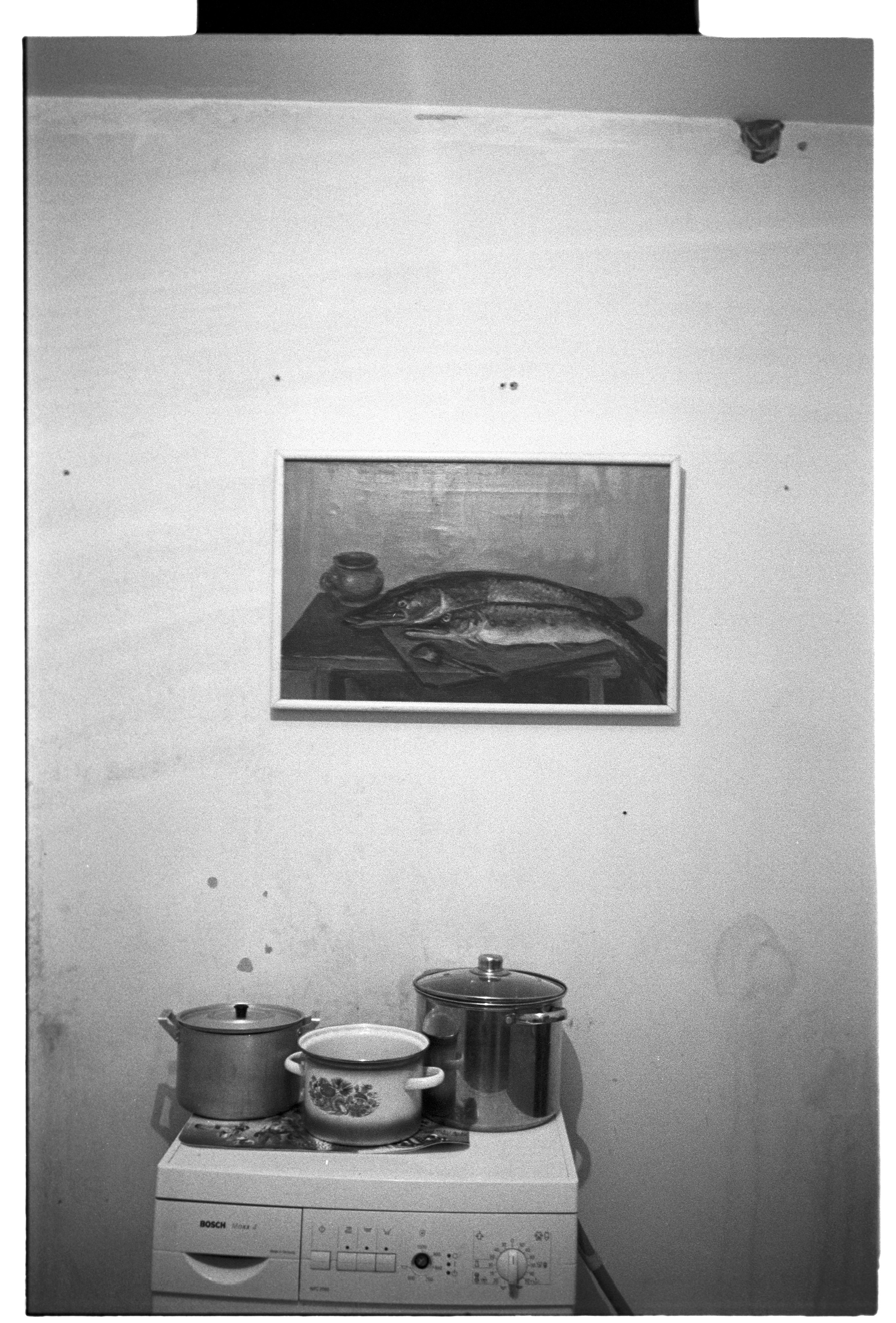 Белый. Фотограф в Санкт-Петербурге Березовский Даниил