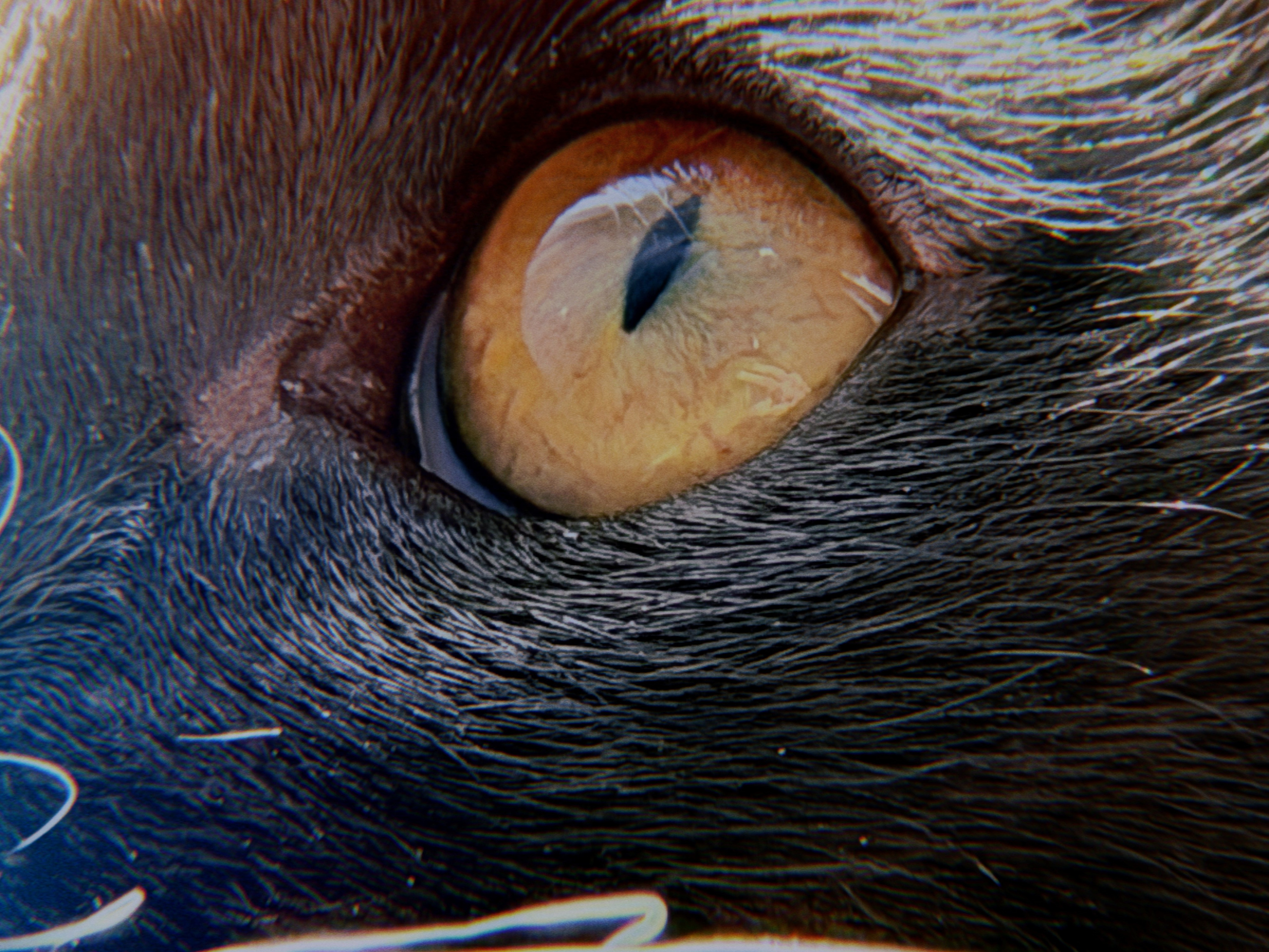 Визуальный дневник. Портретный фотограф в Москве Гахраманова Екатерина