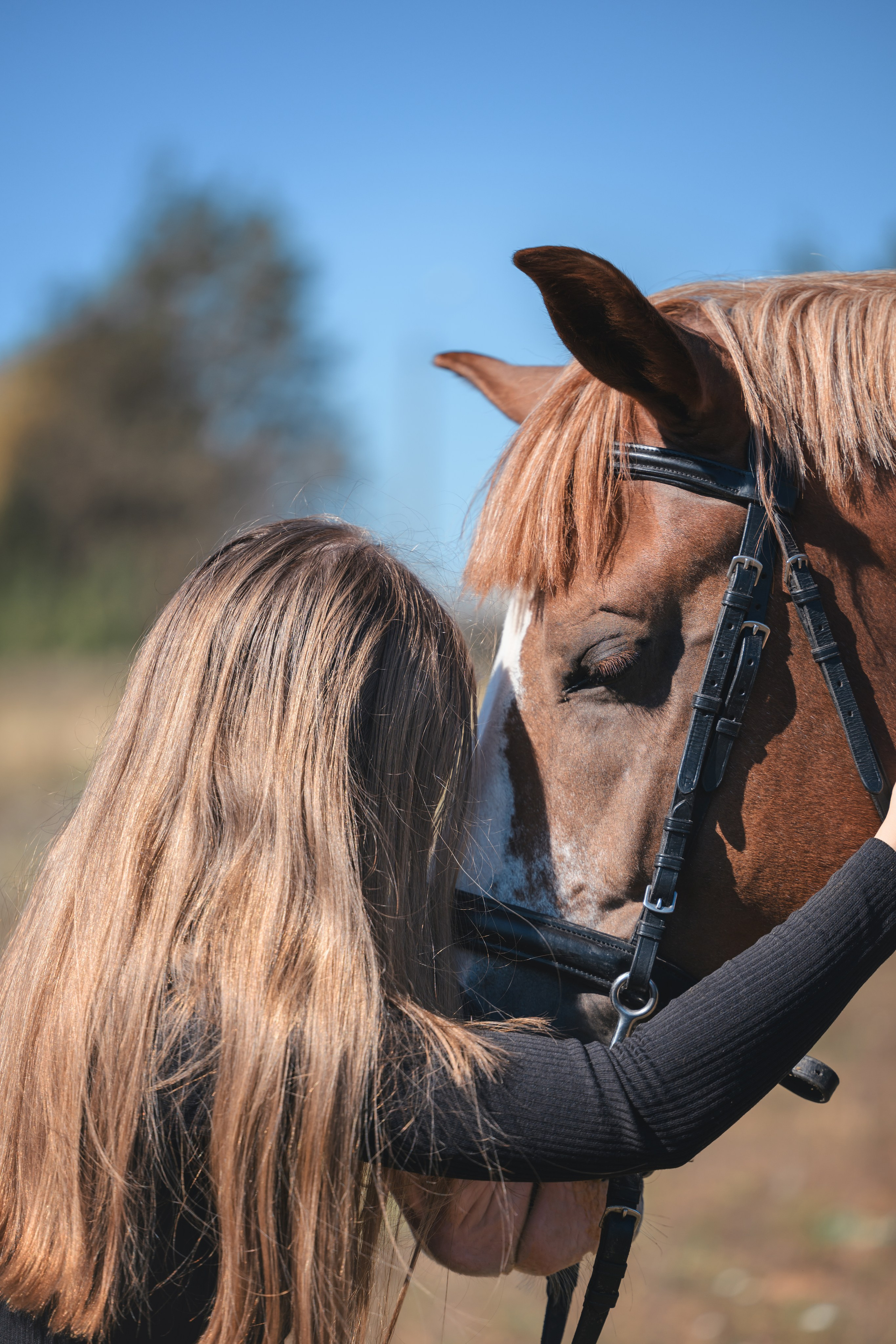 Виктория и Лео. Фотограф Анималист в Москве Анастасия Жучкова