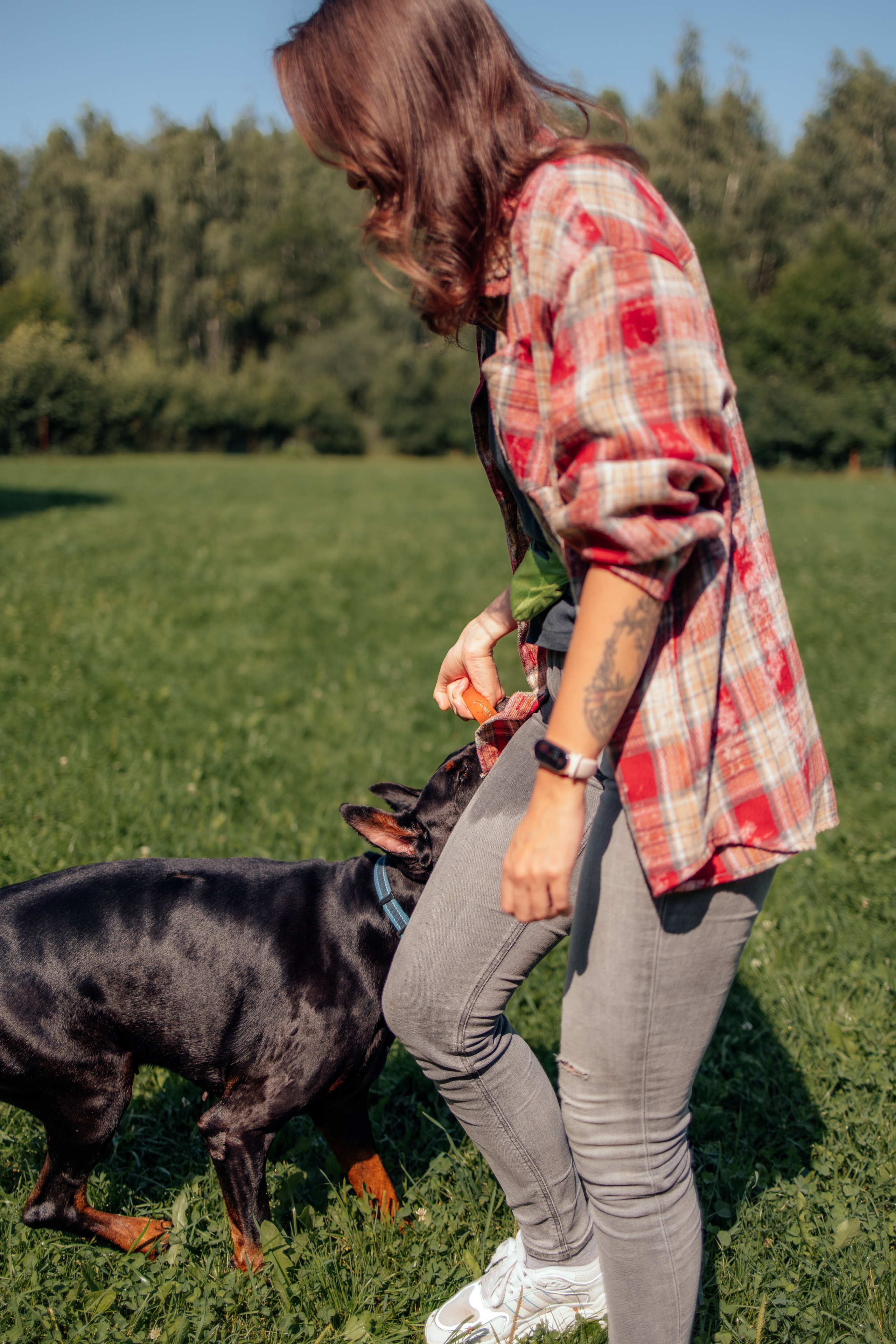 Доберман Айза. Фотограф Анималист в Москве Анастасия Жучкова