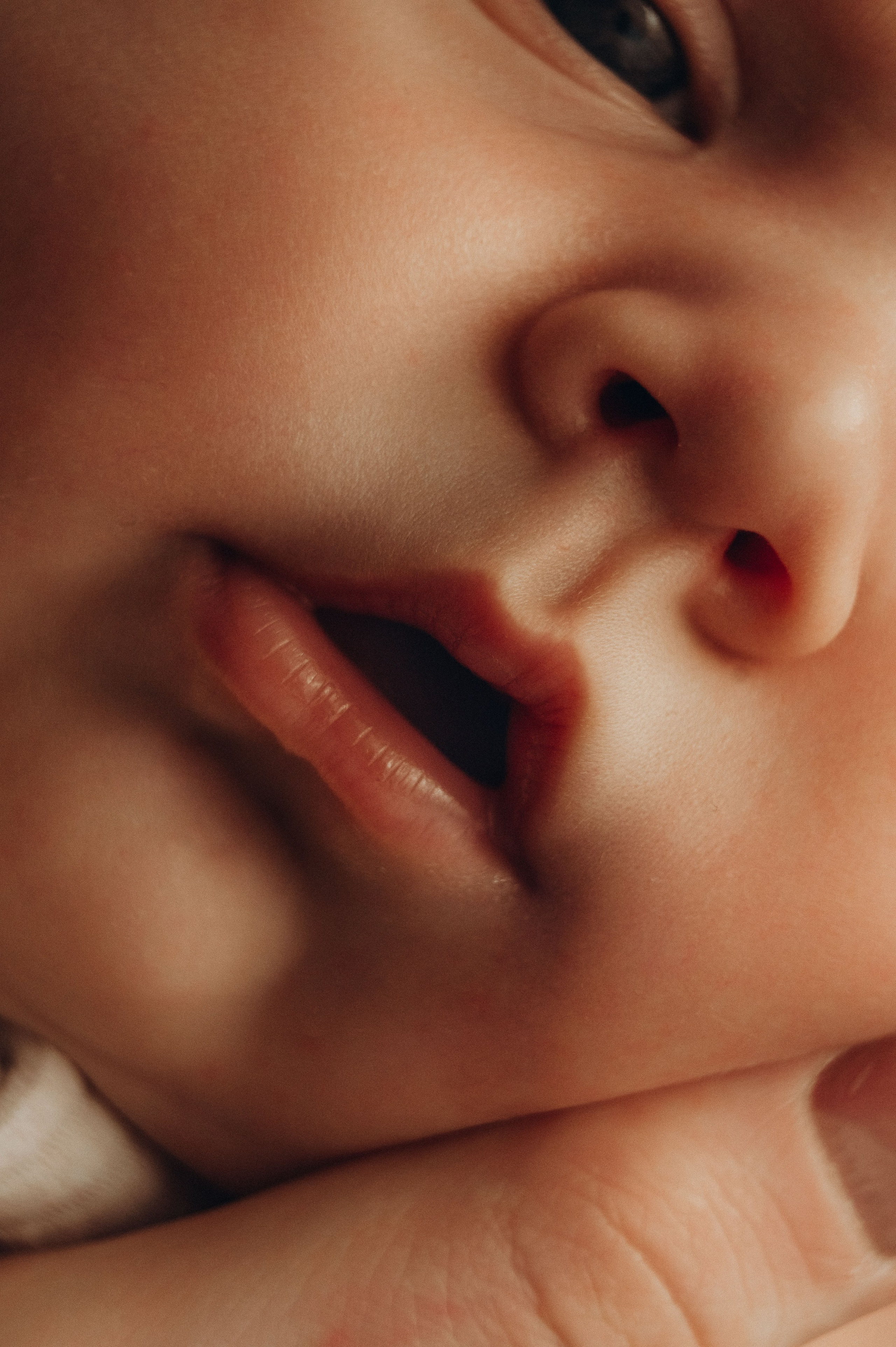 Иван, Ксения и Лев. Фотограф беременности и семьи, домашние съемки, Ньюборн