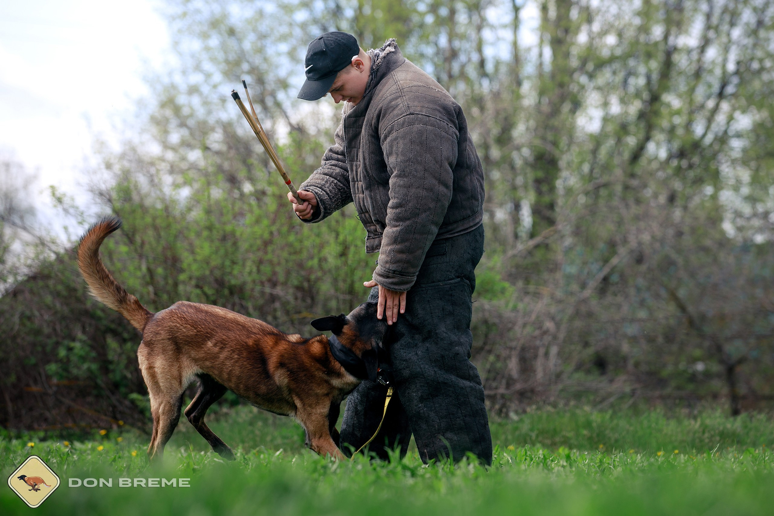 Семинар для фигурантов, день 2. Фотограф-анималист Mary Mart — Москва, Питер