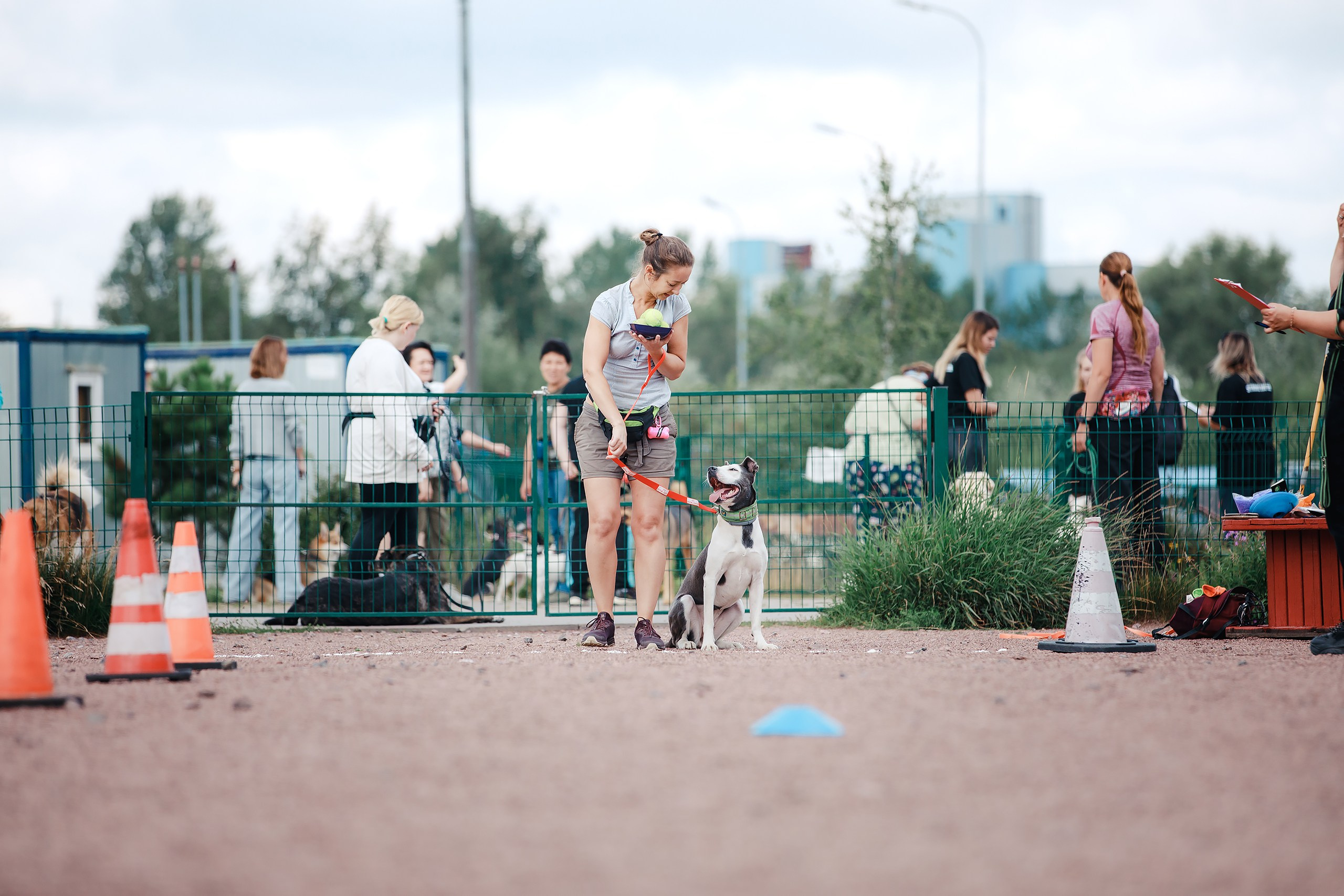 Питч&Гоу + веселые старты. Фотограф-анималист Mary Mart — Москва, Питер