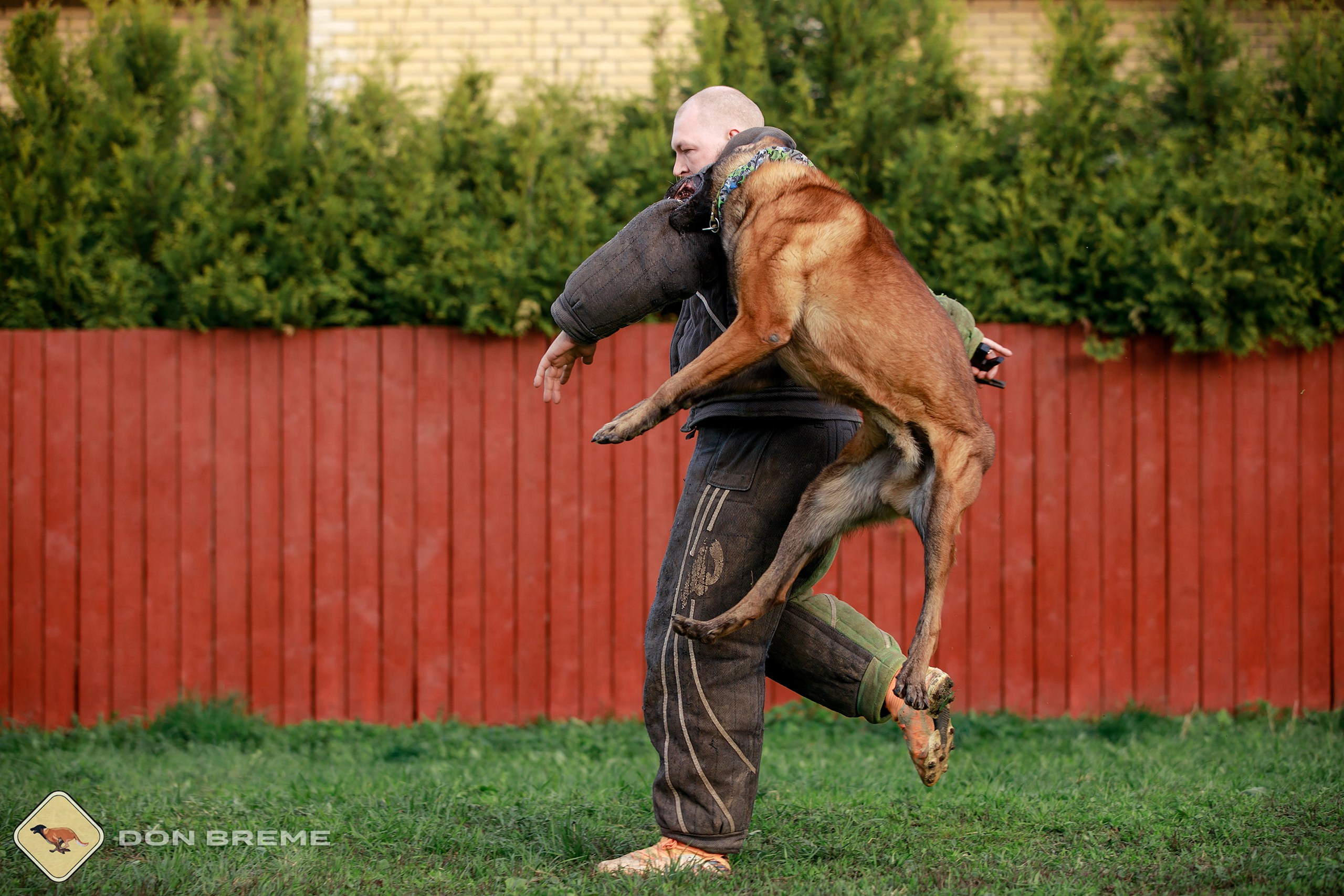 Семинар для фигурантов, день 2. Фотограф-анималист Mary Mart — Москва, Питер