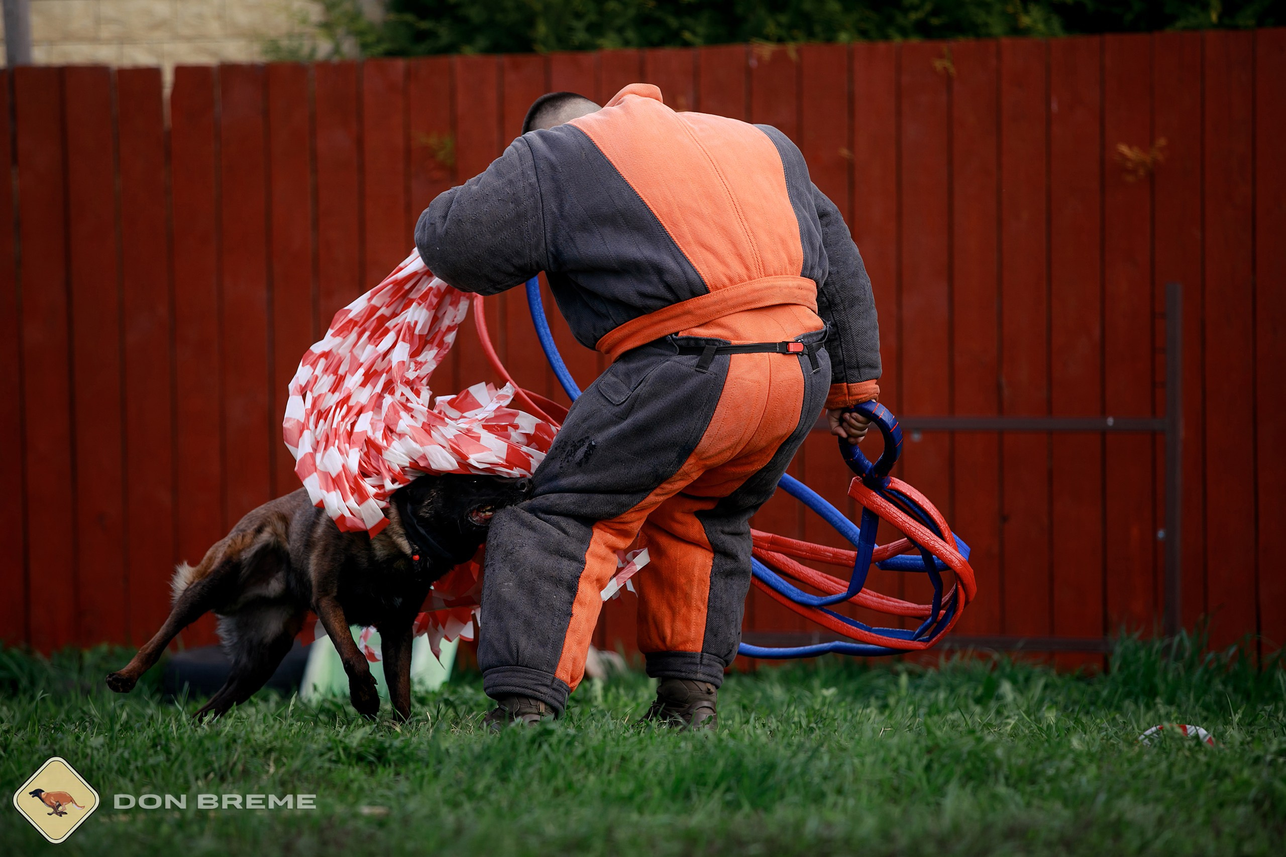 Семинар для фигурантов, день 2. Фотограф-анималист Mary Mart — Москва, Питер
