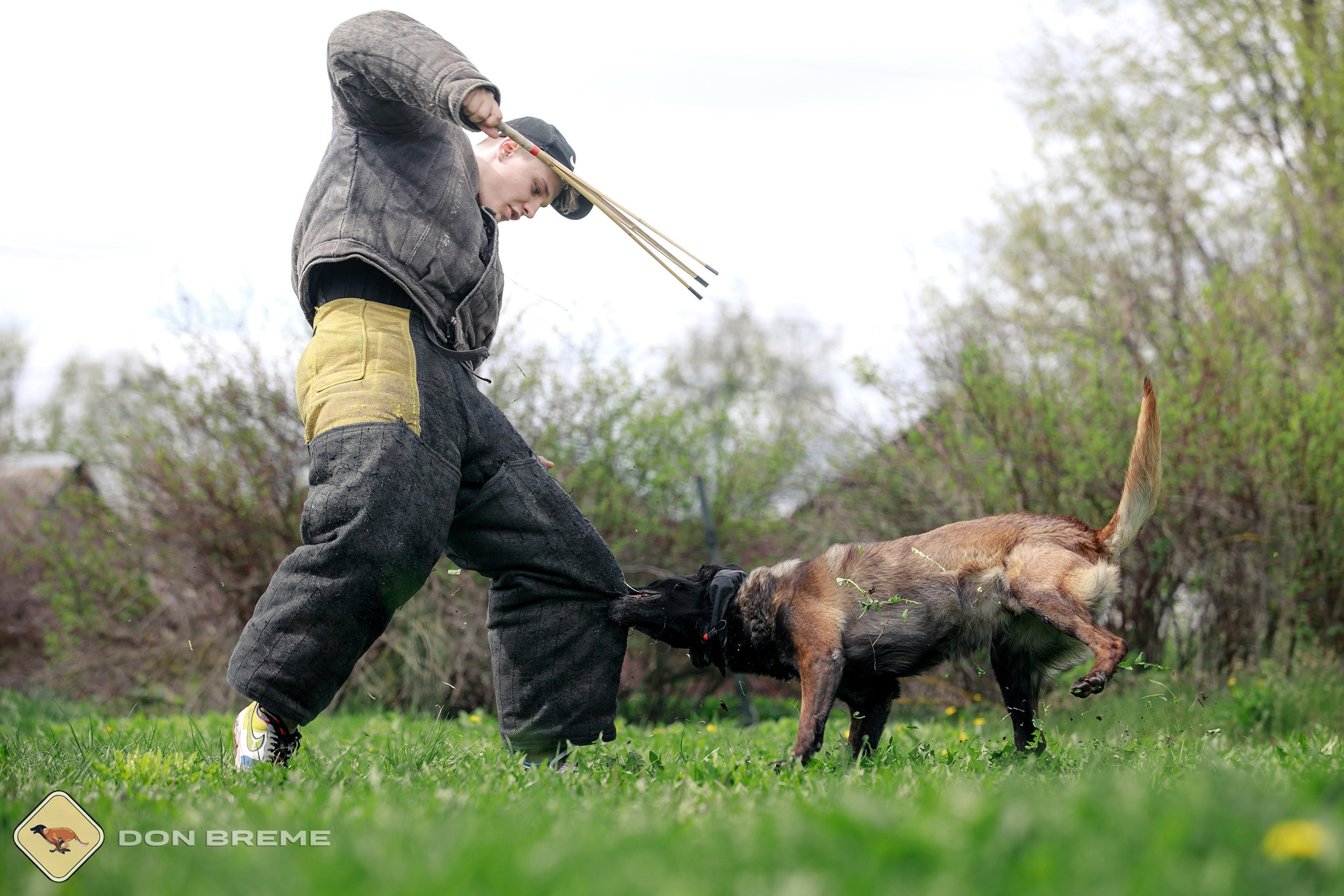 Семинар для фигурантов, день 2. Фотограф-анималист Mary Mart — Москва, Питер