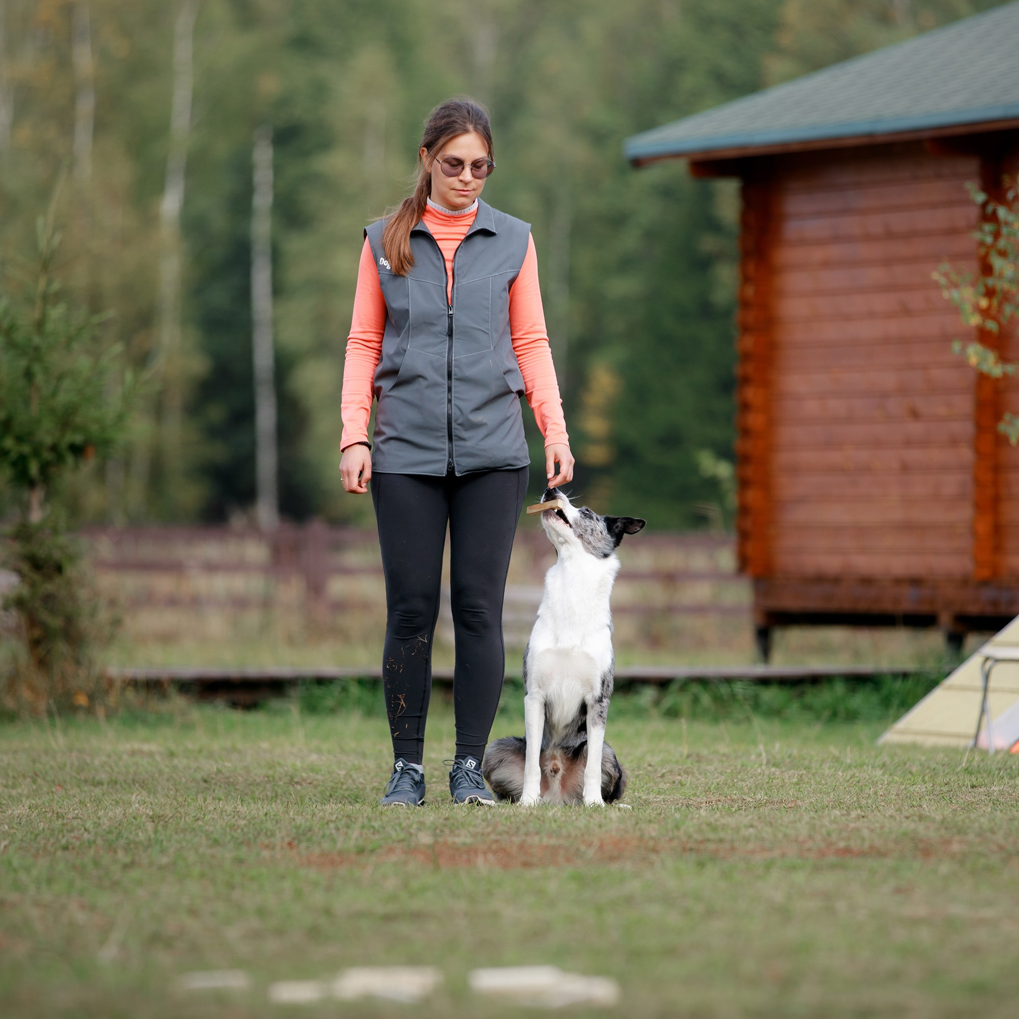 Лагерь по ОБД с Инной Баженовой. Фотограф-анималист Mary Mart — Москва, Питер
