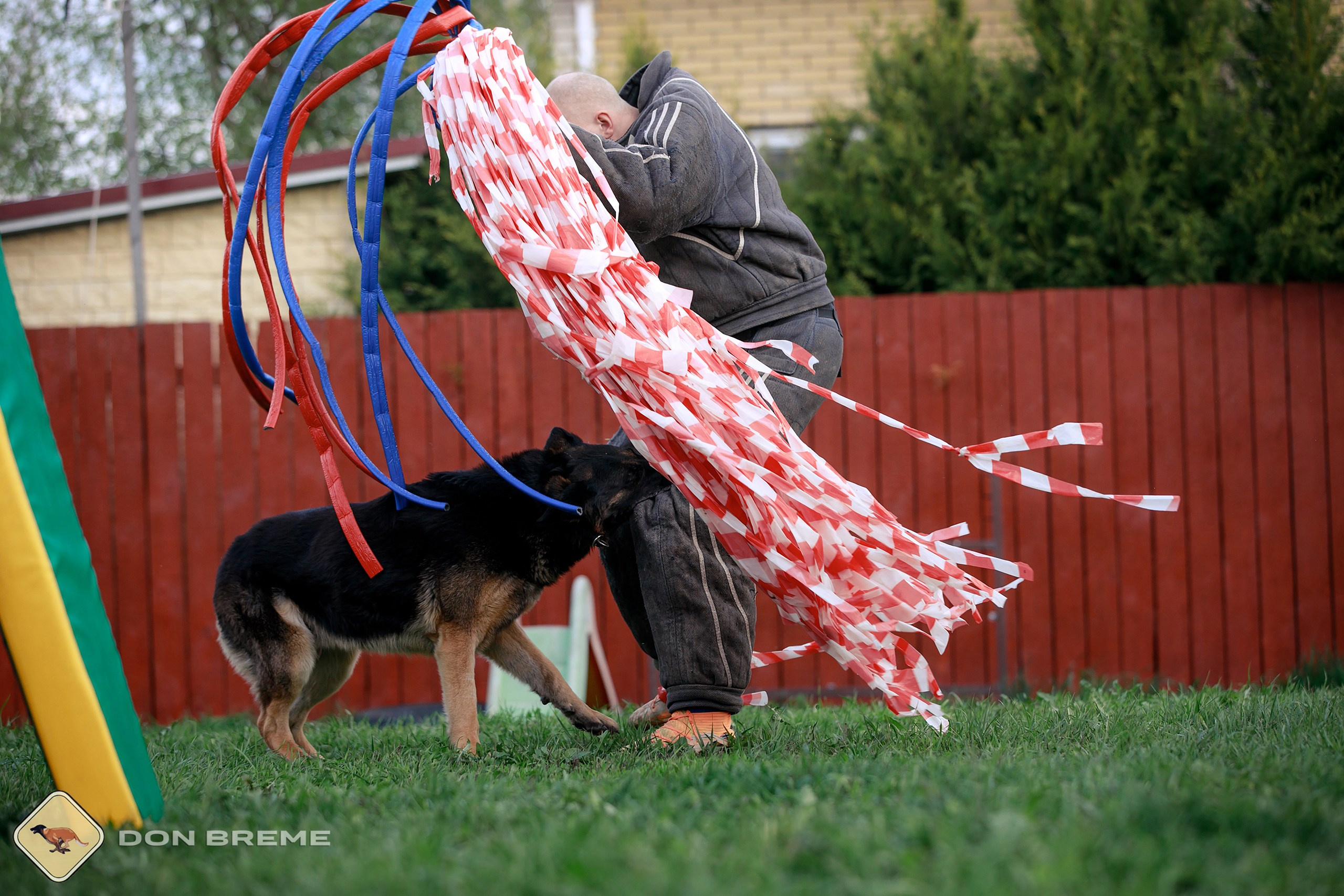 Семинар для фигурантов, день 2. Фотограф-анималист Mary Mart — Москва, Питер