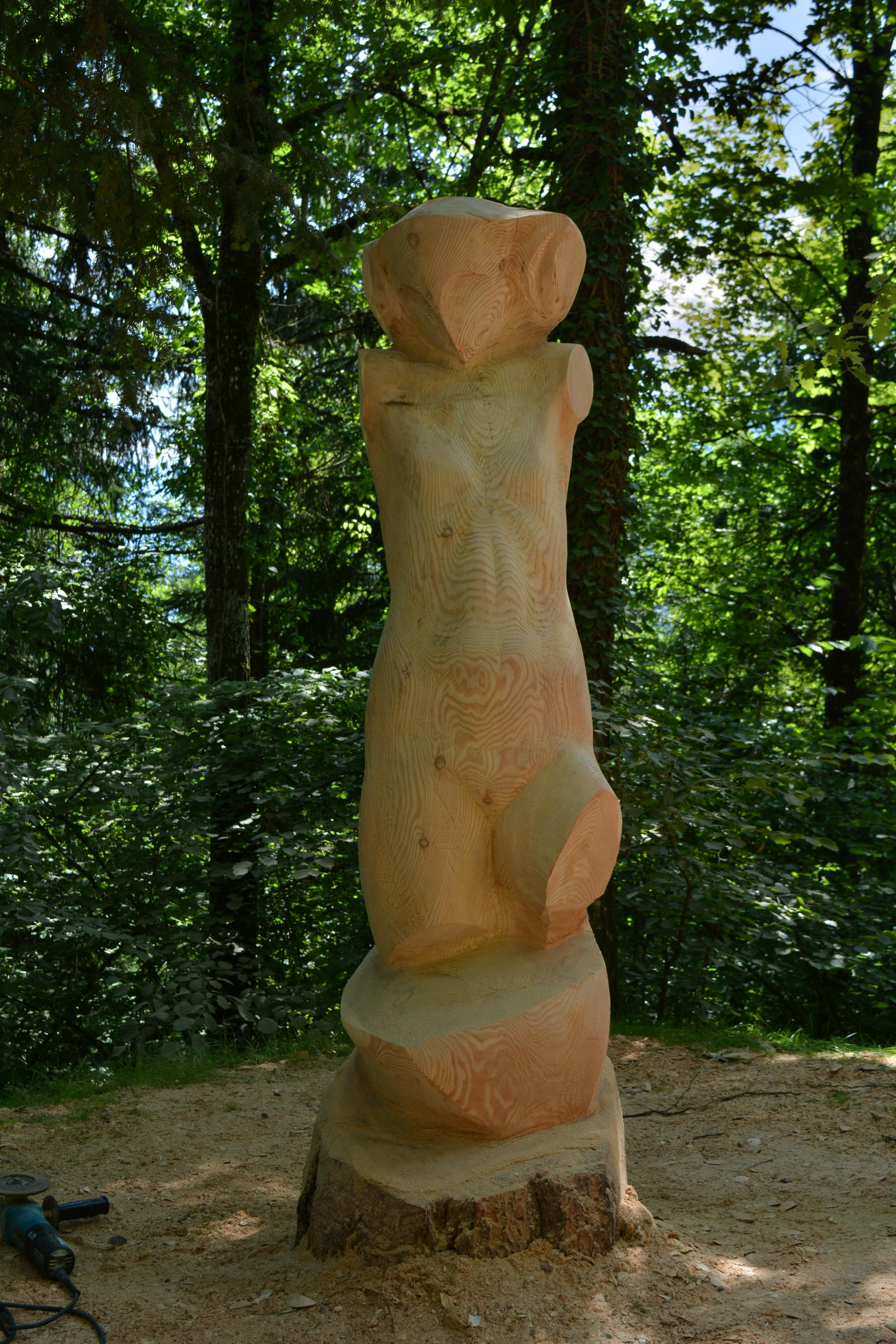 Нимфа. 2018. Дерево. Италия