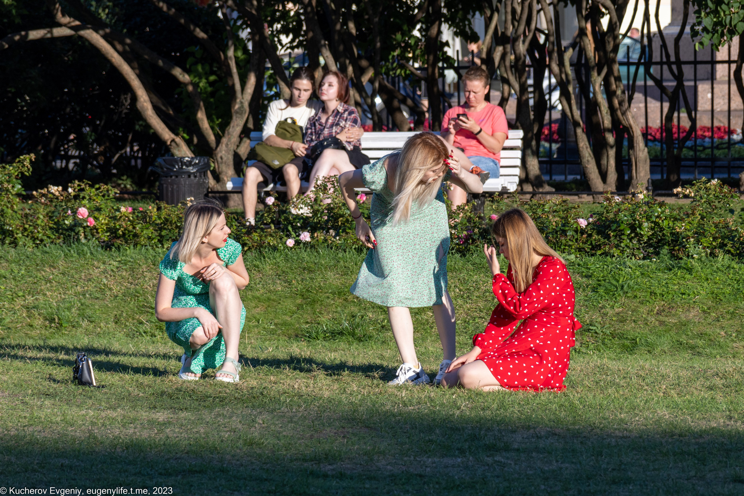 Скамейки. Кучеров Евгений. Фотограф