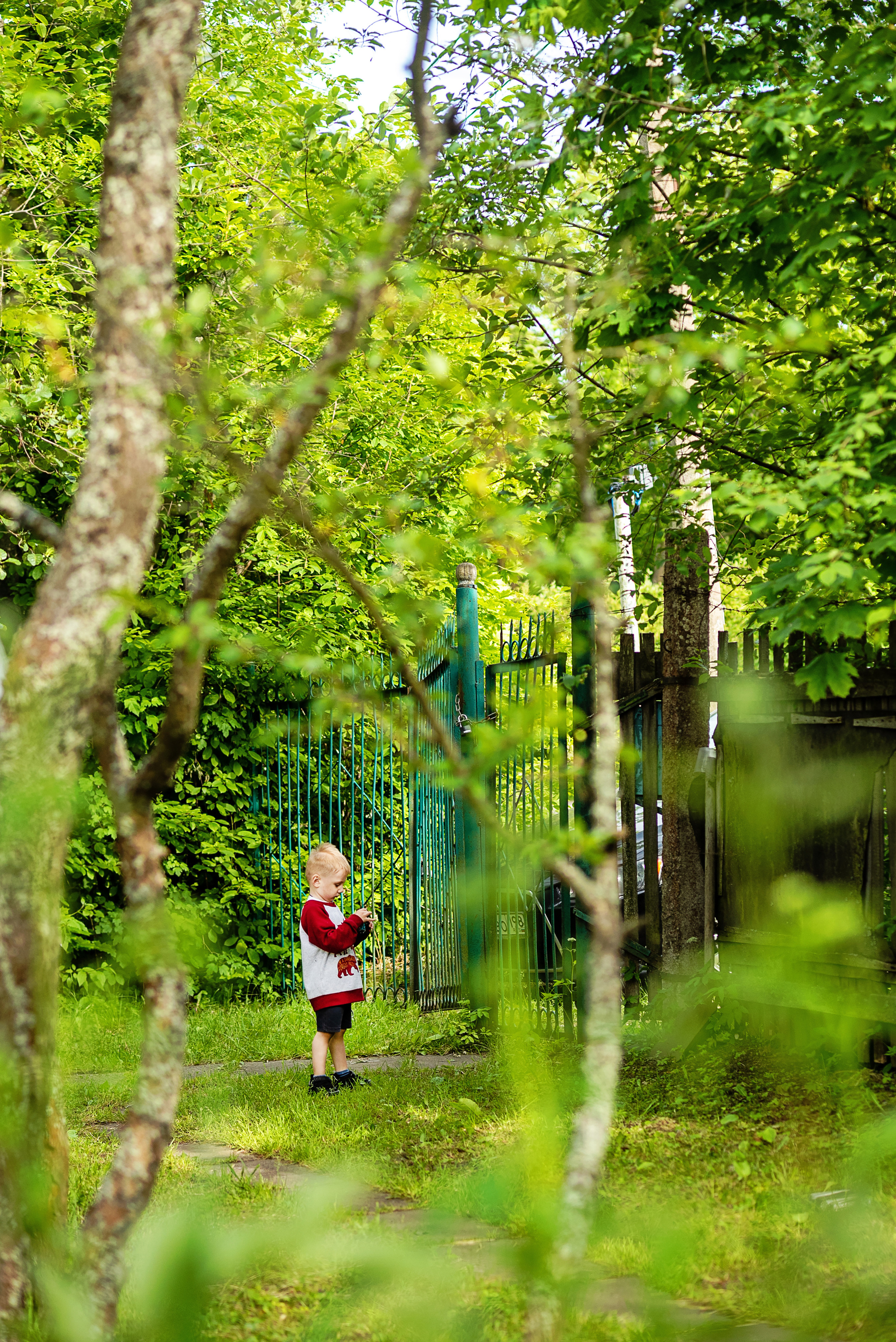 День Рождения Лизы. Семейный фотограф. Великанова Ирина. Санкт-Петербург. Пушкин