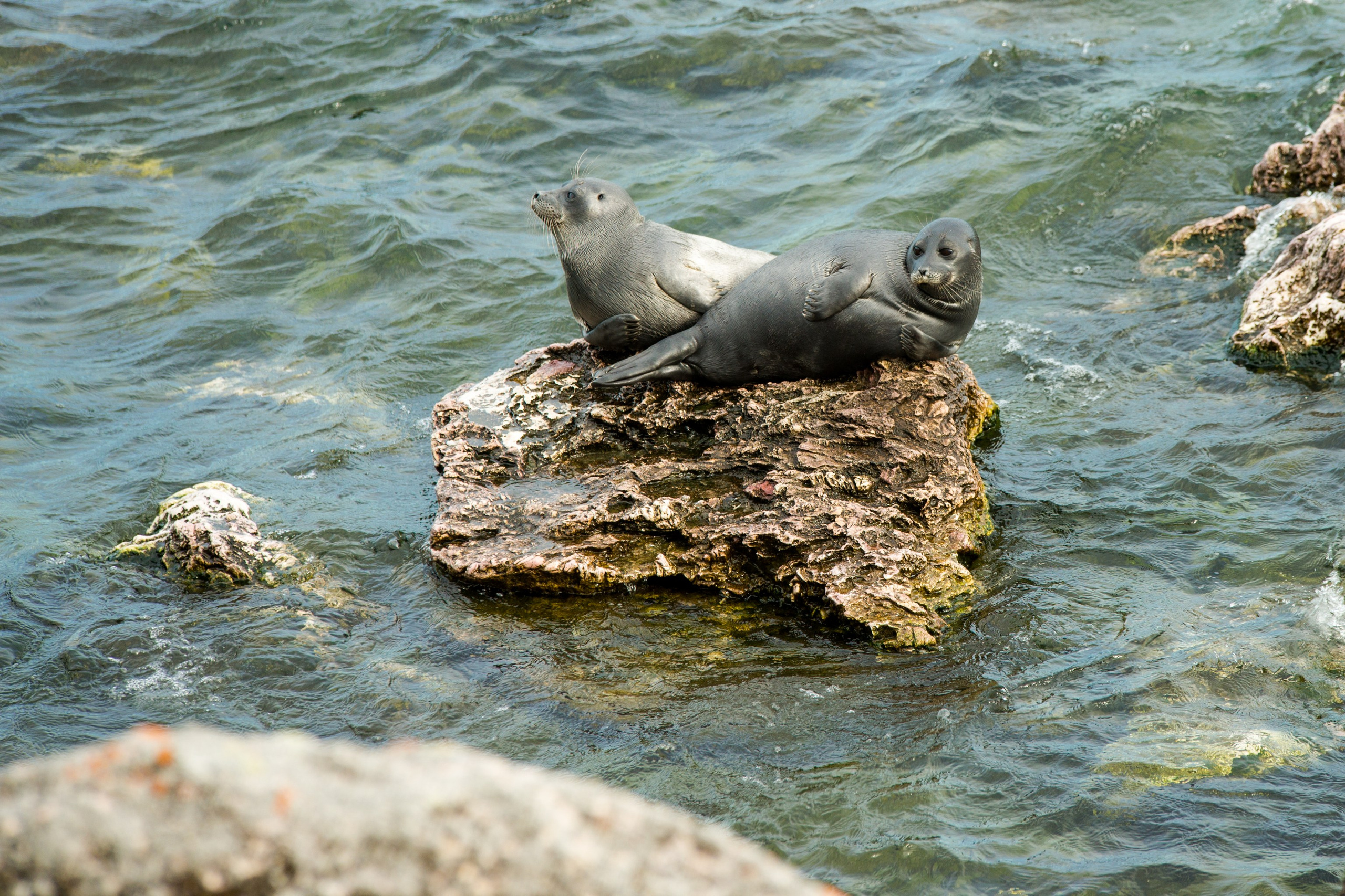 Фотографии озера Байкал. Петр Ступень. Свадебное, семейное фото и видео. Москва. Краснодар