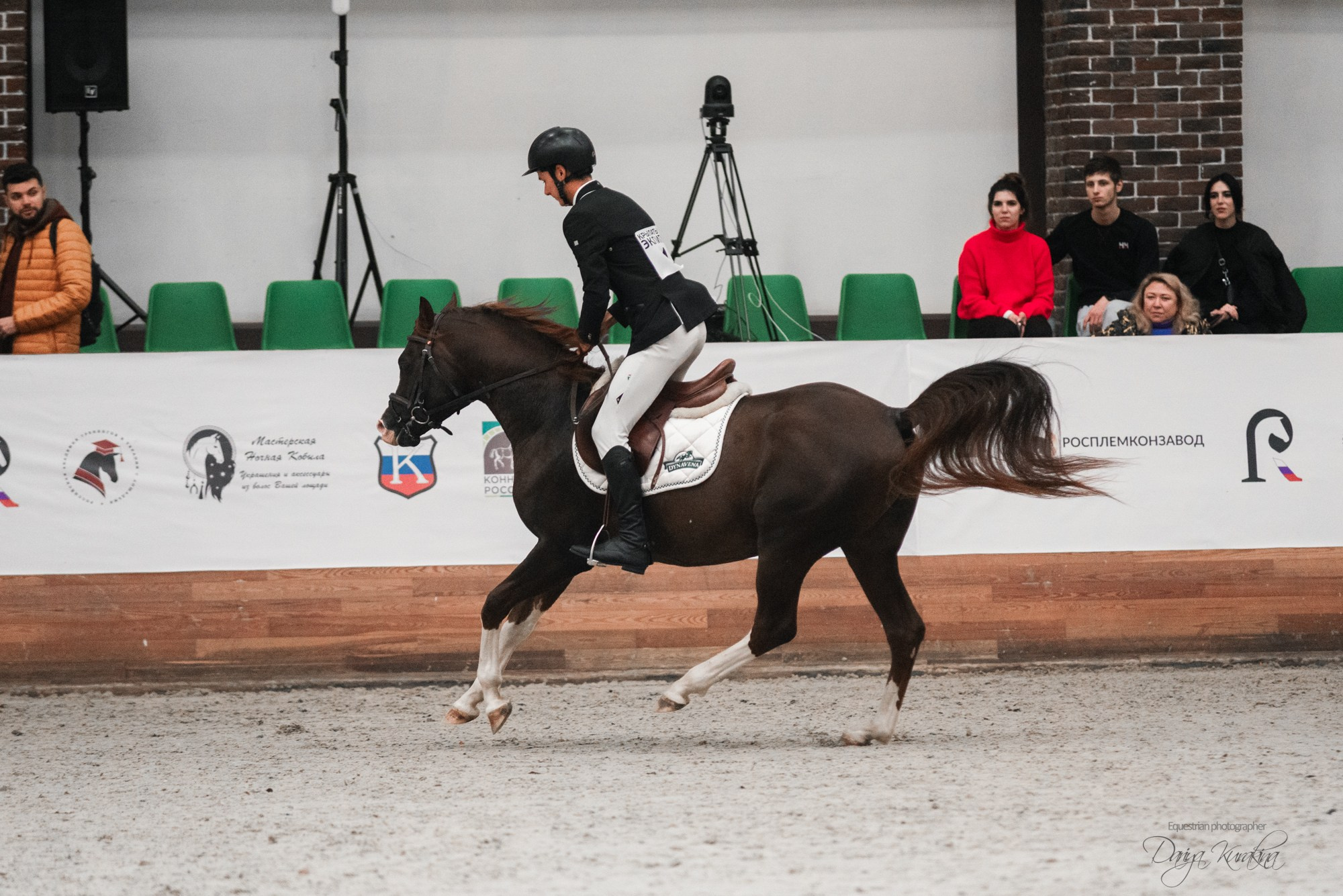 8-я международная выставка Конная Россия. Конный фотограф Куракина Дарья • Фотосессии с лошадьми