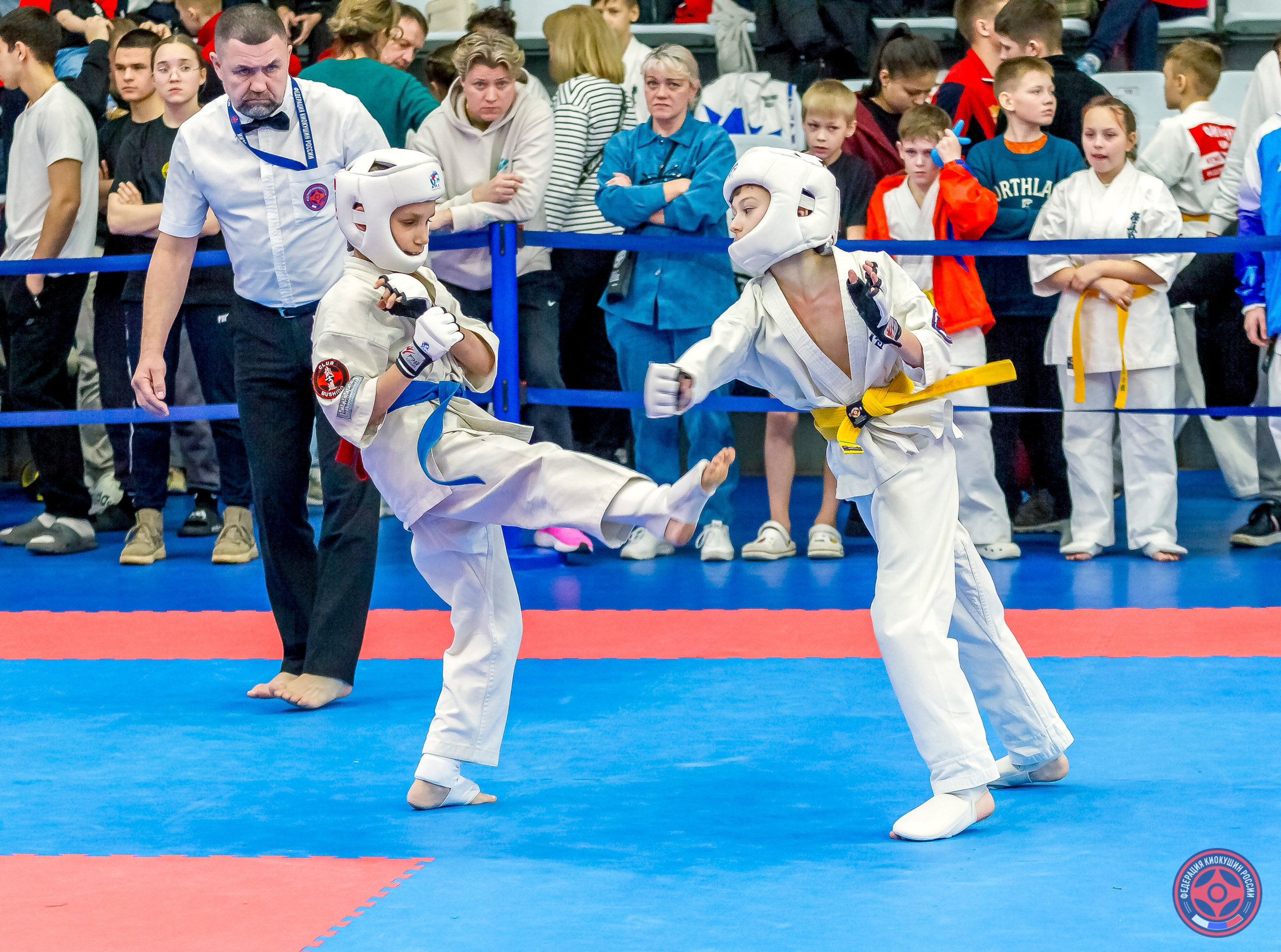 Международный турнир по киокушин «Открытый кубок Seiken». Репортажная съемка в Москве и области. Анималистика