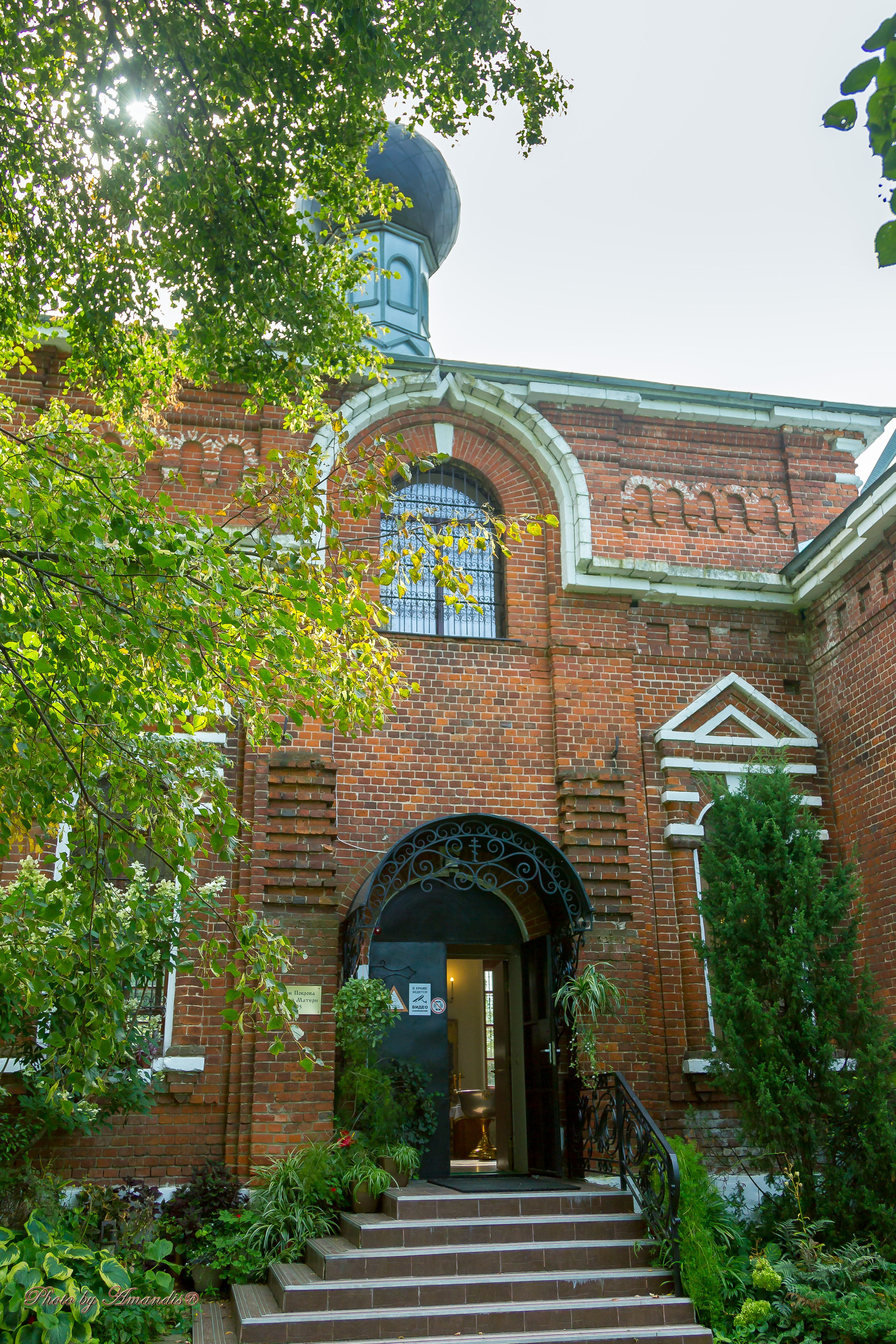 Крещение в д. Еганово (август 2024). Репортажная съемка в Москве и области. Анималистика