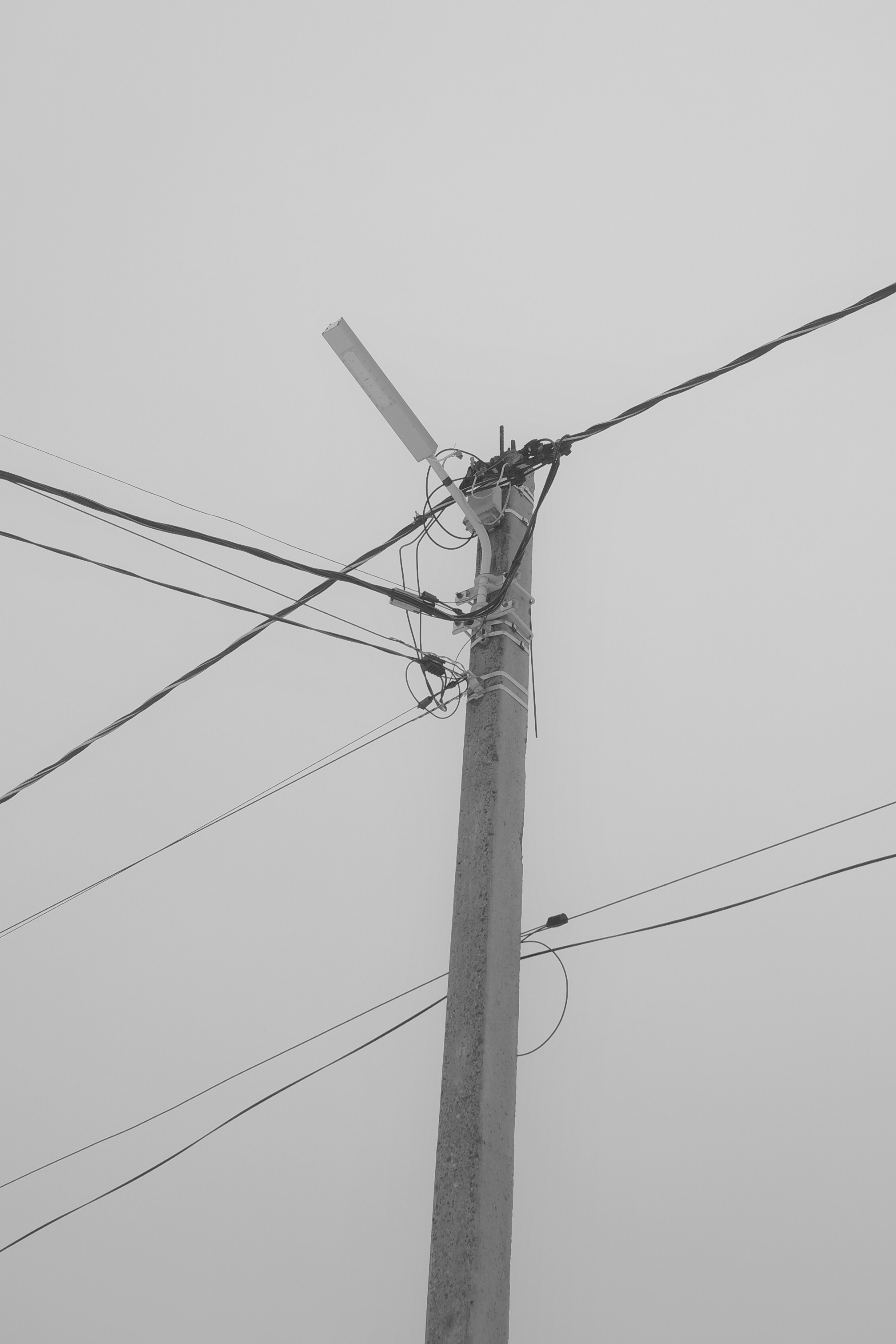 — 2025. Фотограф Злата Спицына